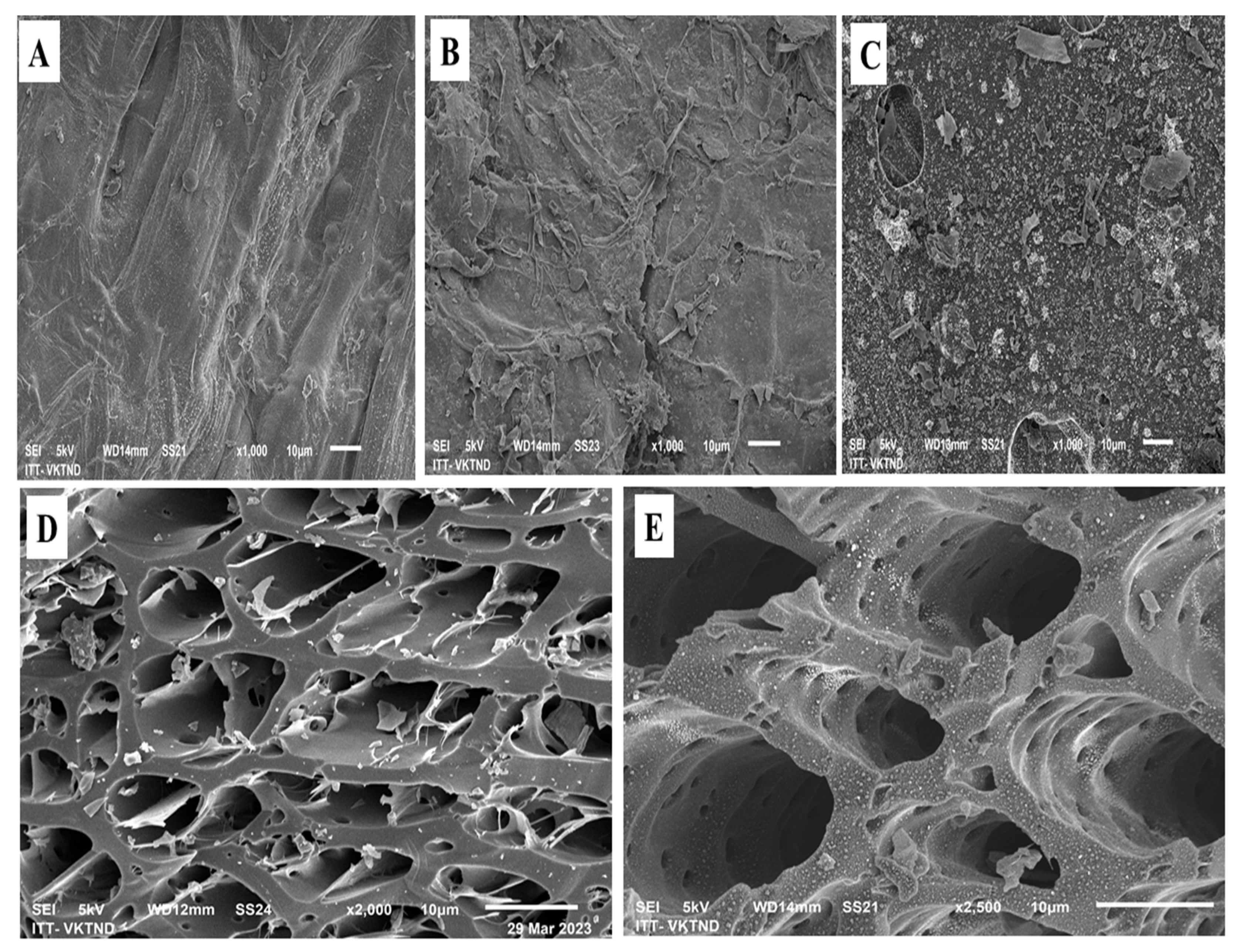 Sustainability 15 11992 g002