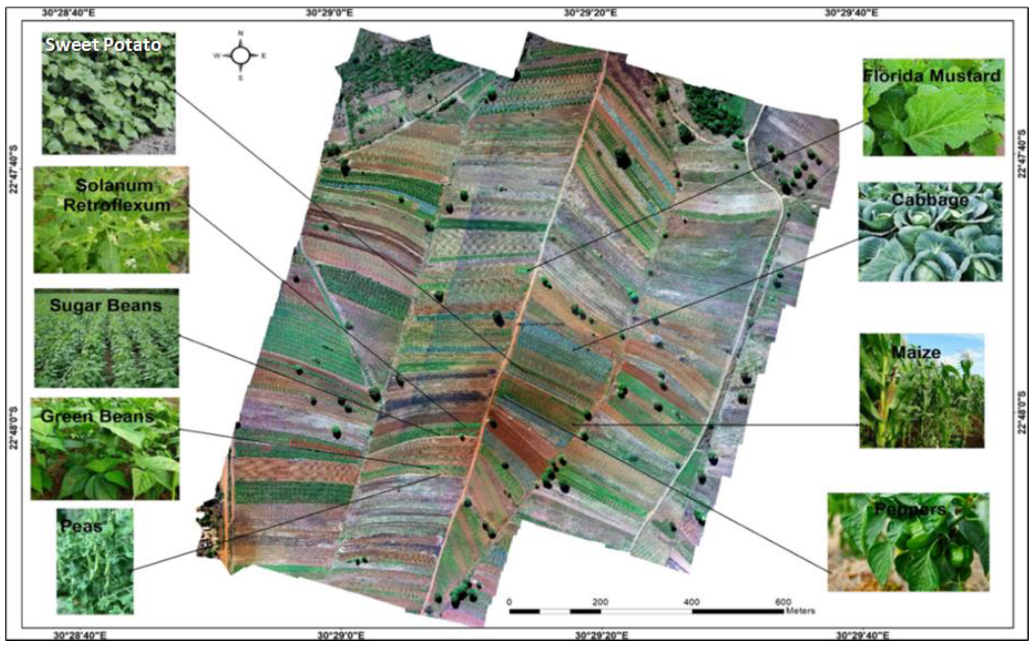 Sustainability 15 12034 g003