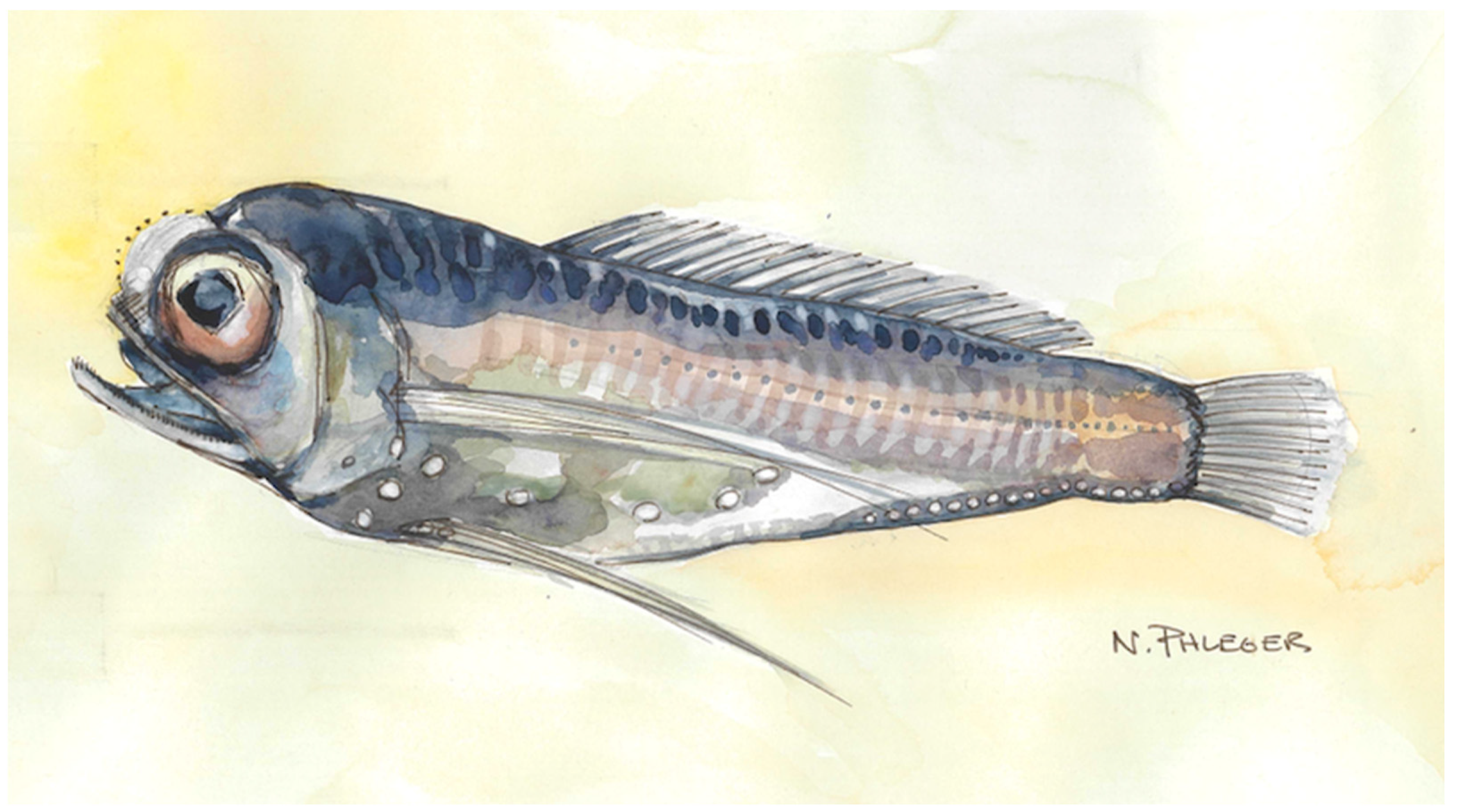 Sustainability 15 12039 g001 Sustainability 15 12039 g001