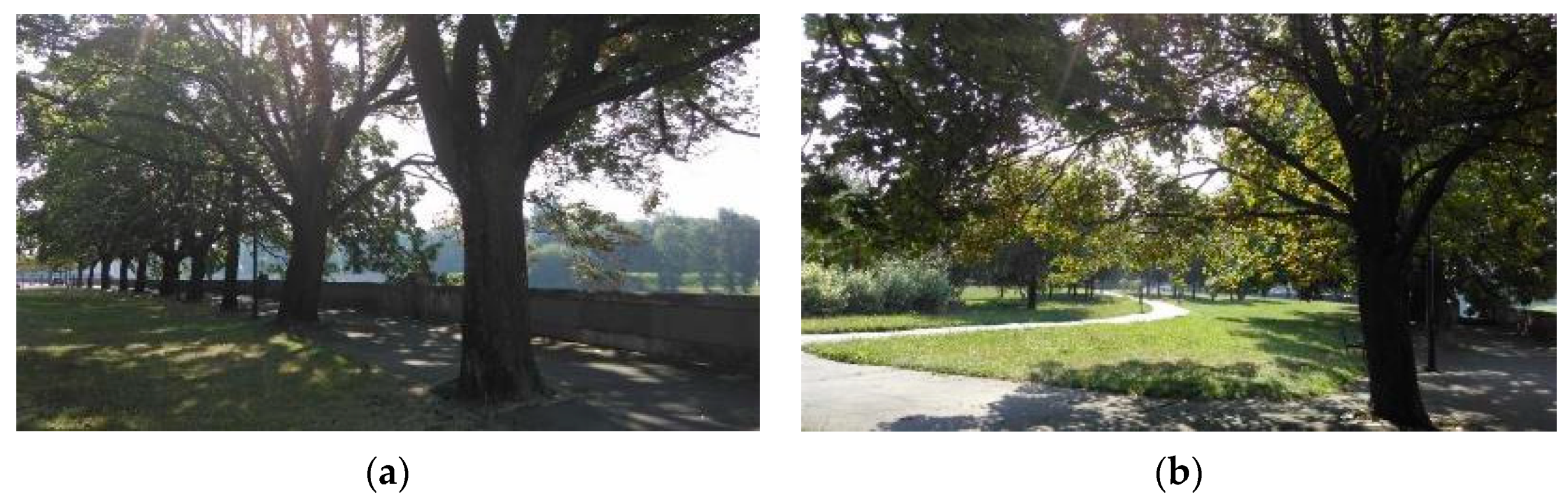 Sustainability 15 12041 g009 Sustainability 15 12041 g009