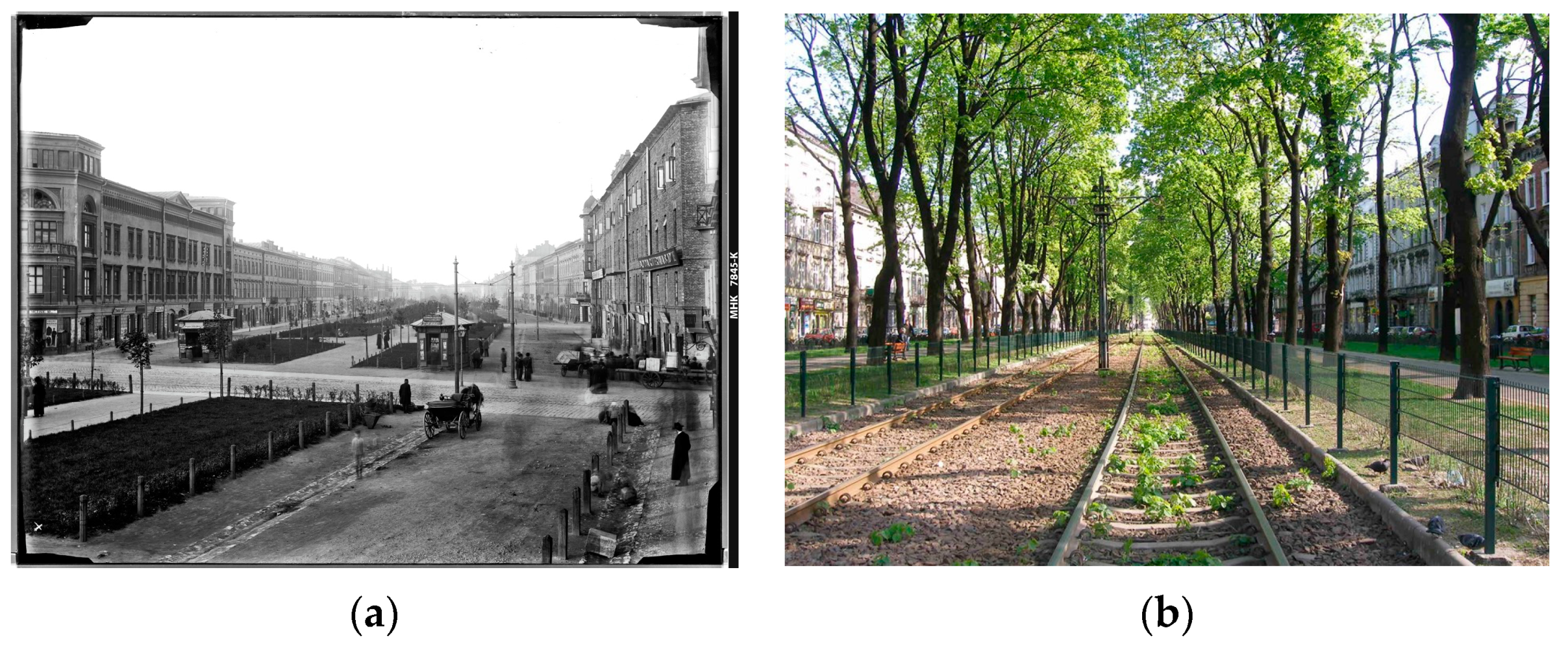 Sustainability 15 12041 g010 Sustainability 15 12041 g010