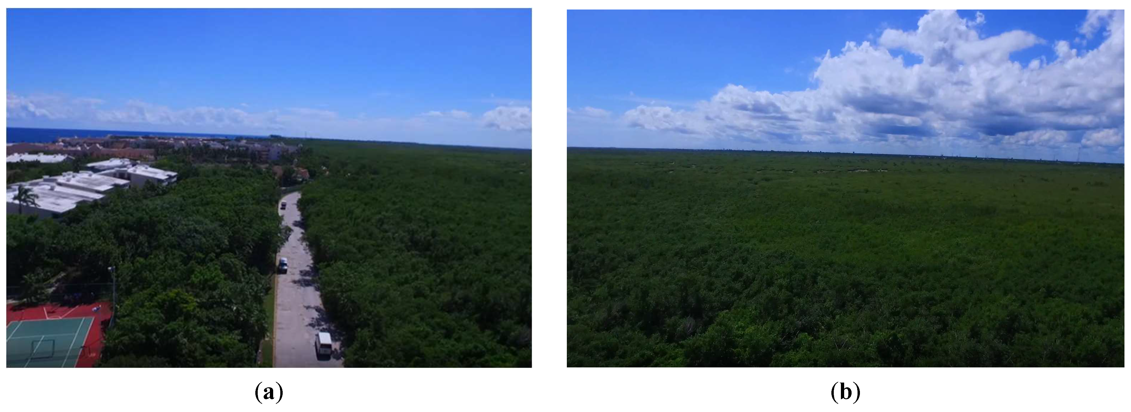 Sustainability 15 12042 g0a2a