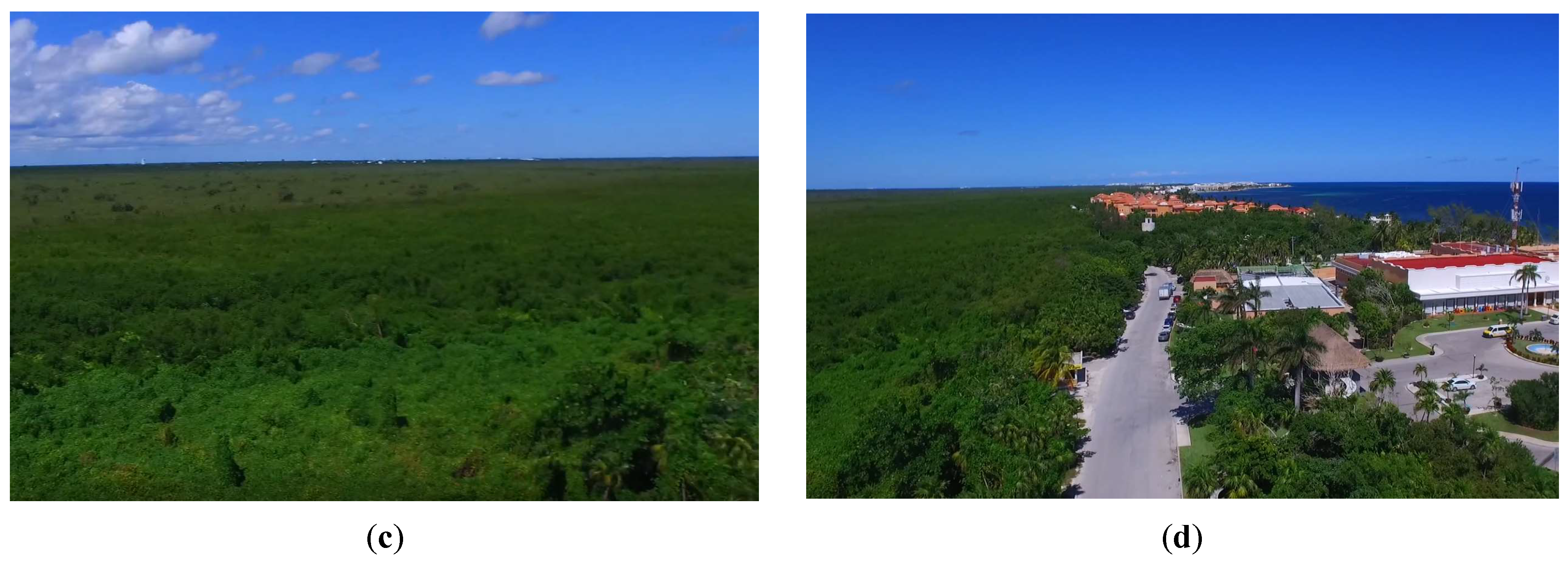 Sustainability 15 12042 g0a2b