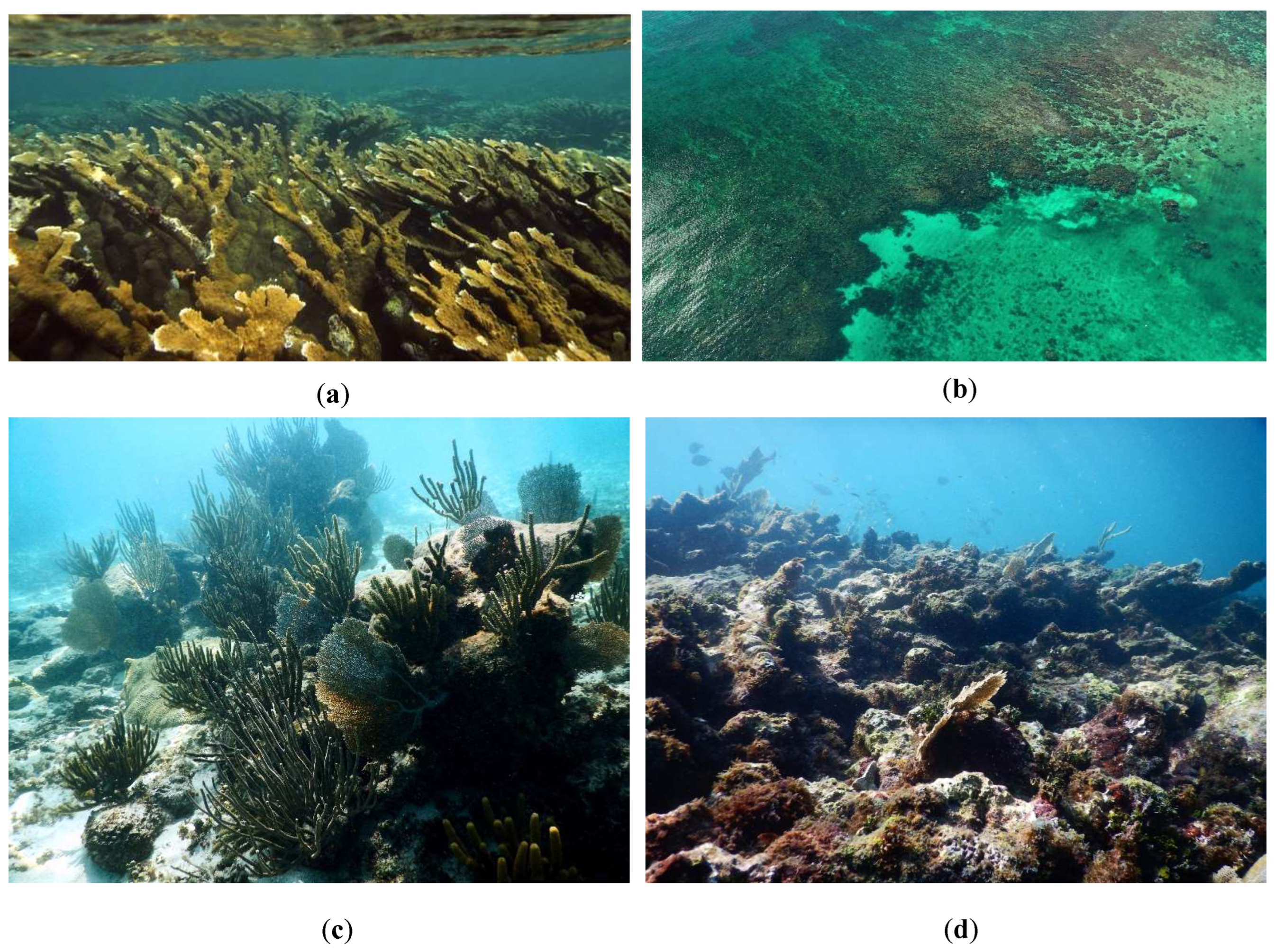 Sustainability 15 12042 g0a8