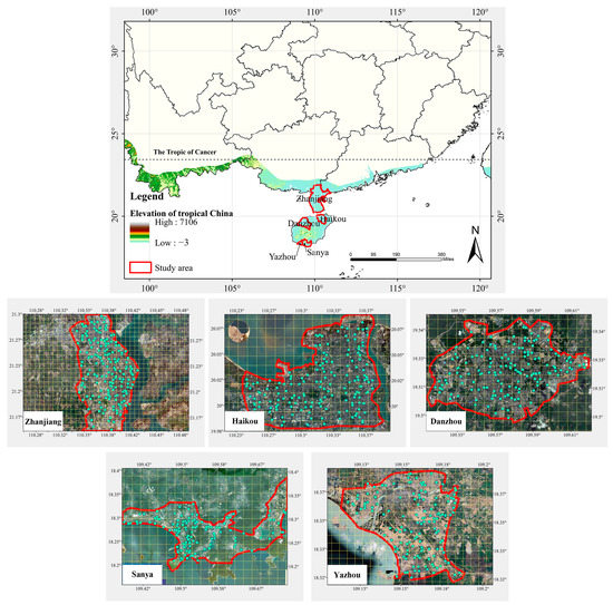 アース Urban Planning and Green Landscape Management Drive Plant