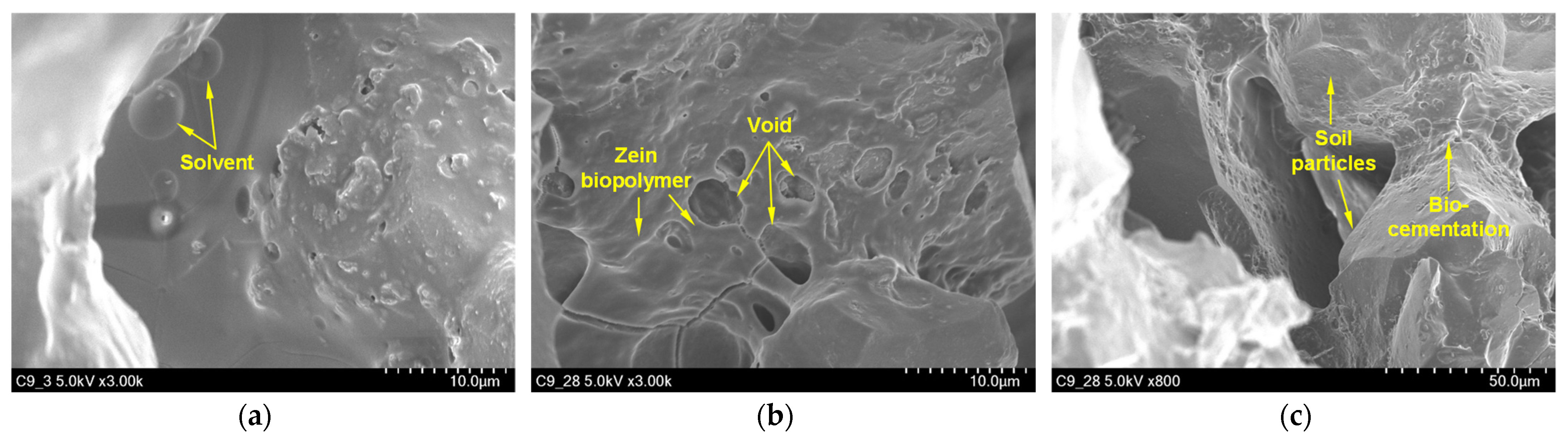 Sustainability 15 12048 g008