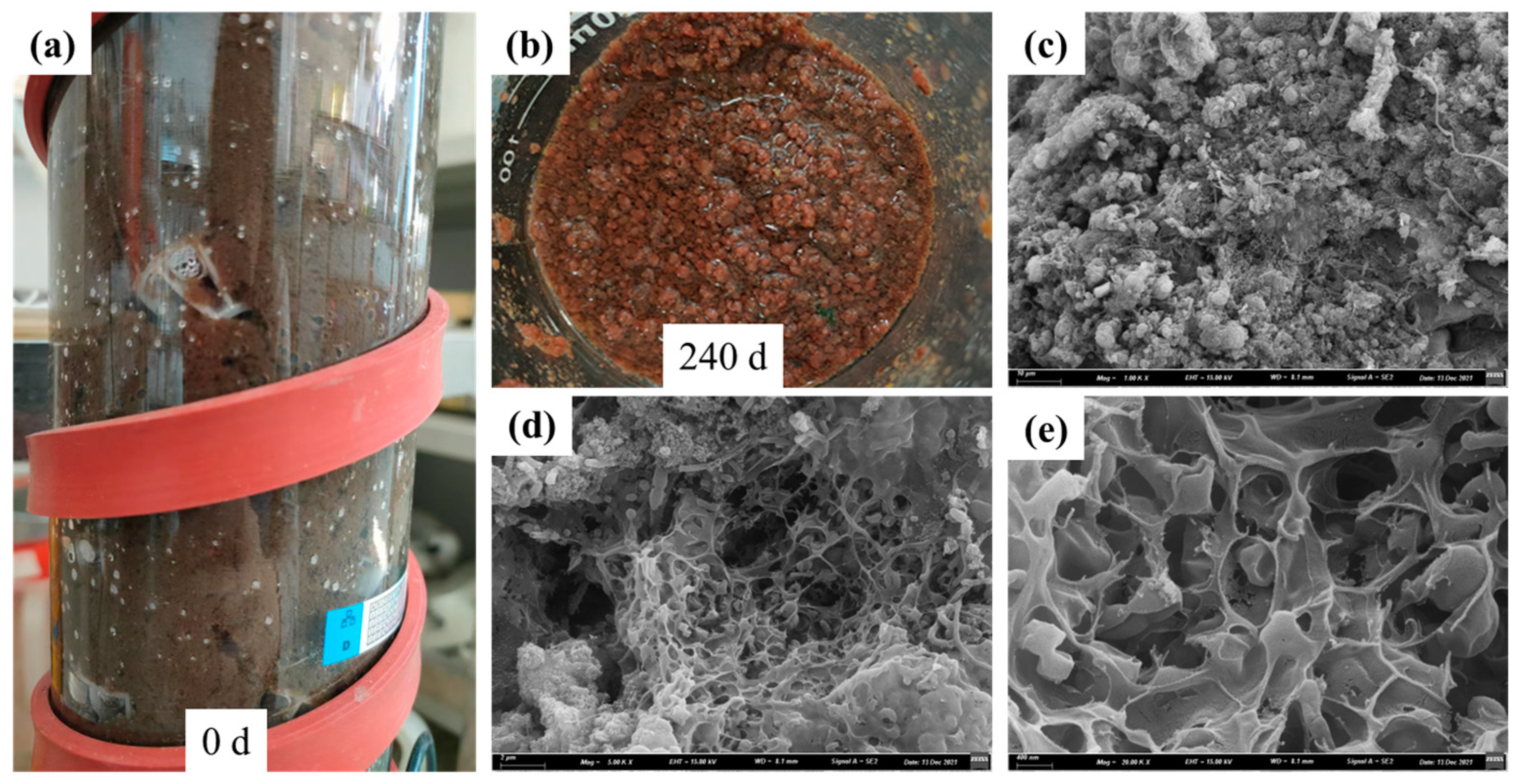 Sustainability 15 12123 g004