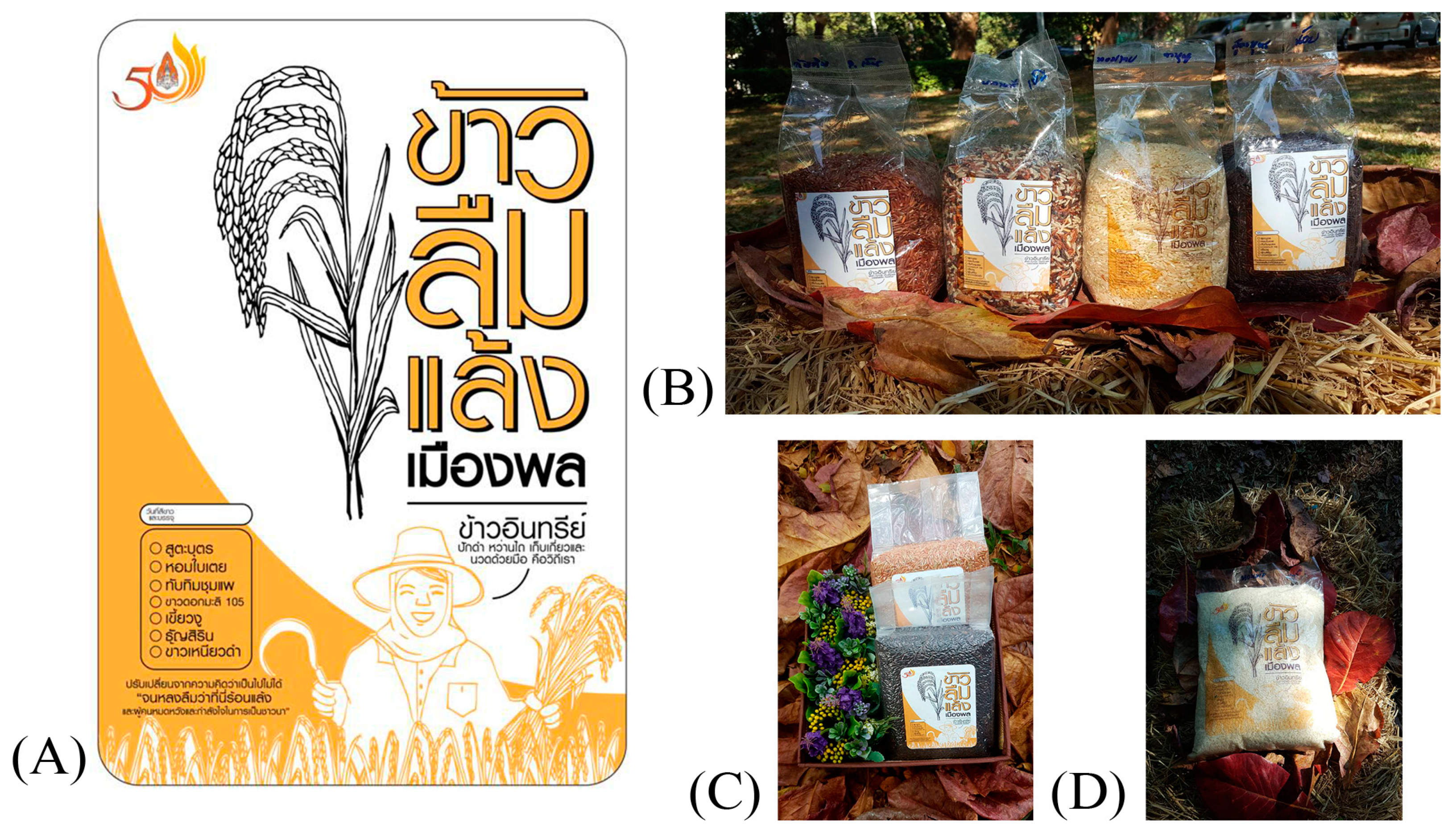 Sustainability 15 12144 g004