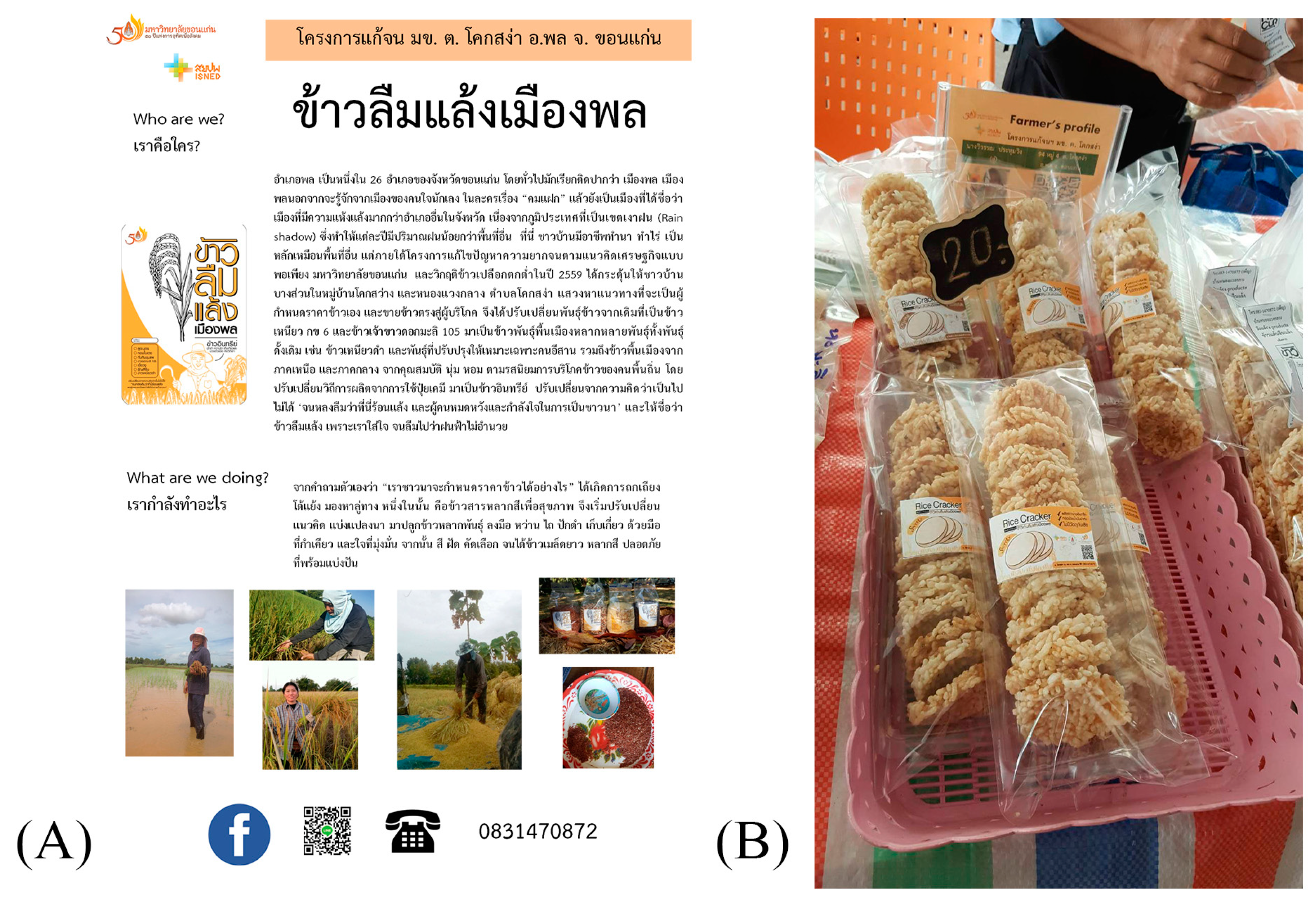 Sustainability 15 12144 g005