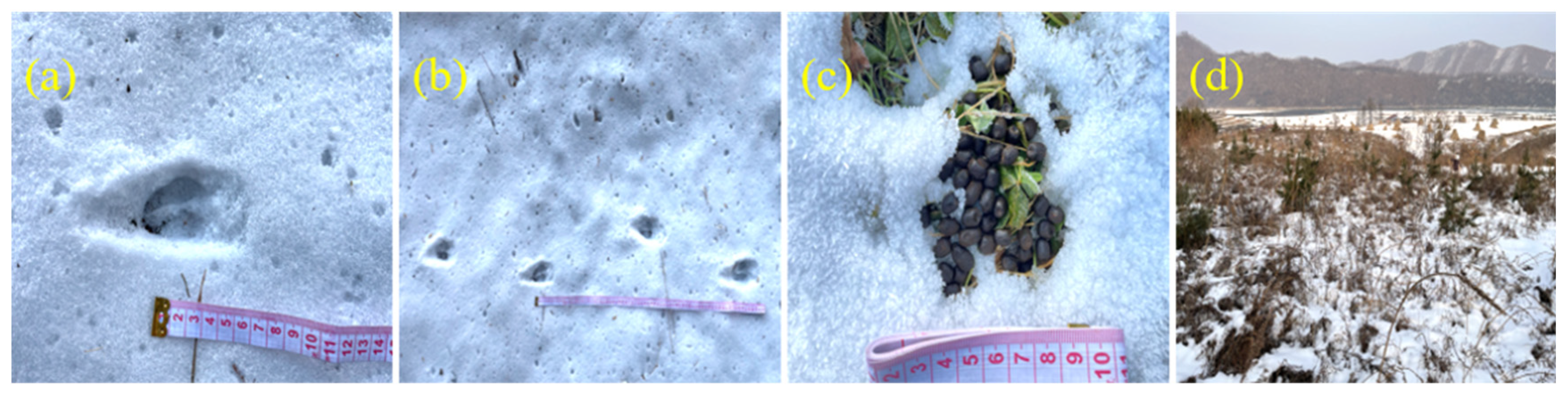 Sustainability 15 12181 g002