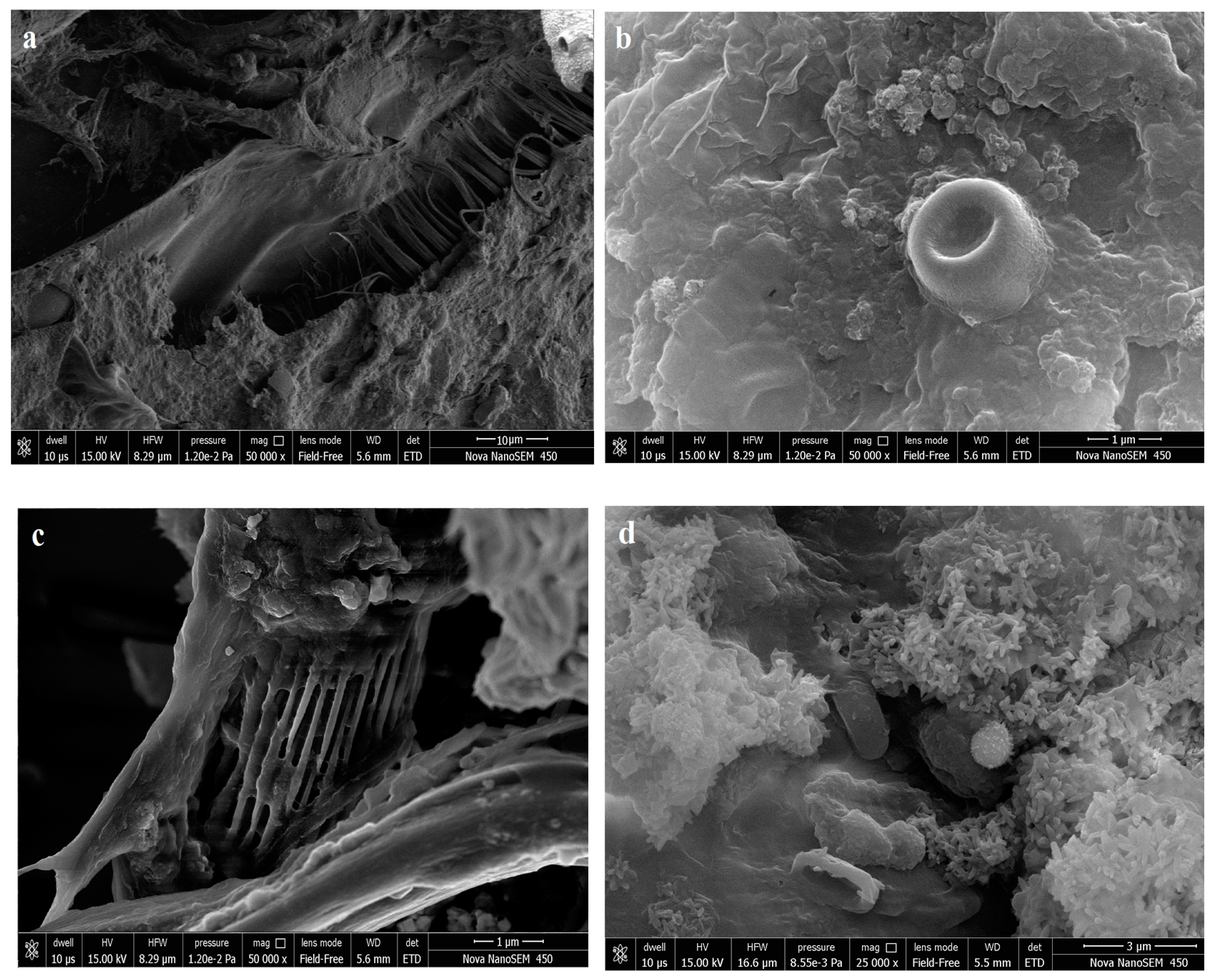 Sustainability 15 12220 g006