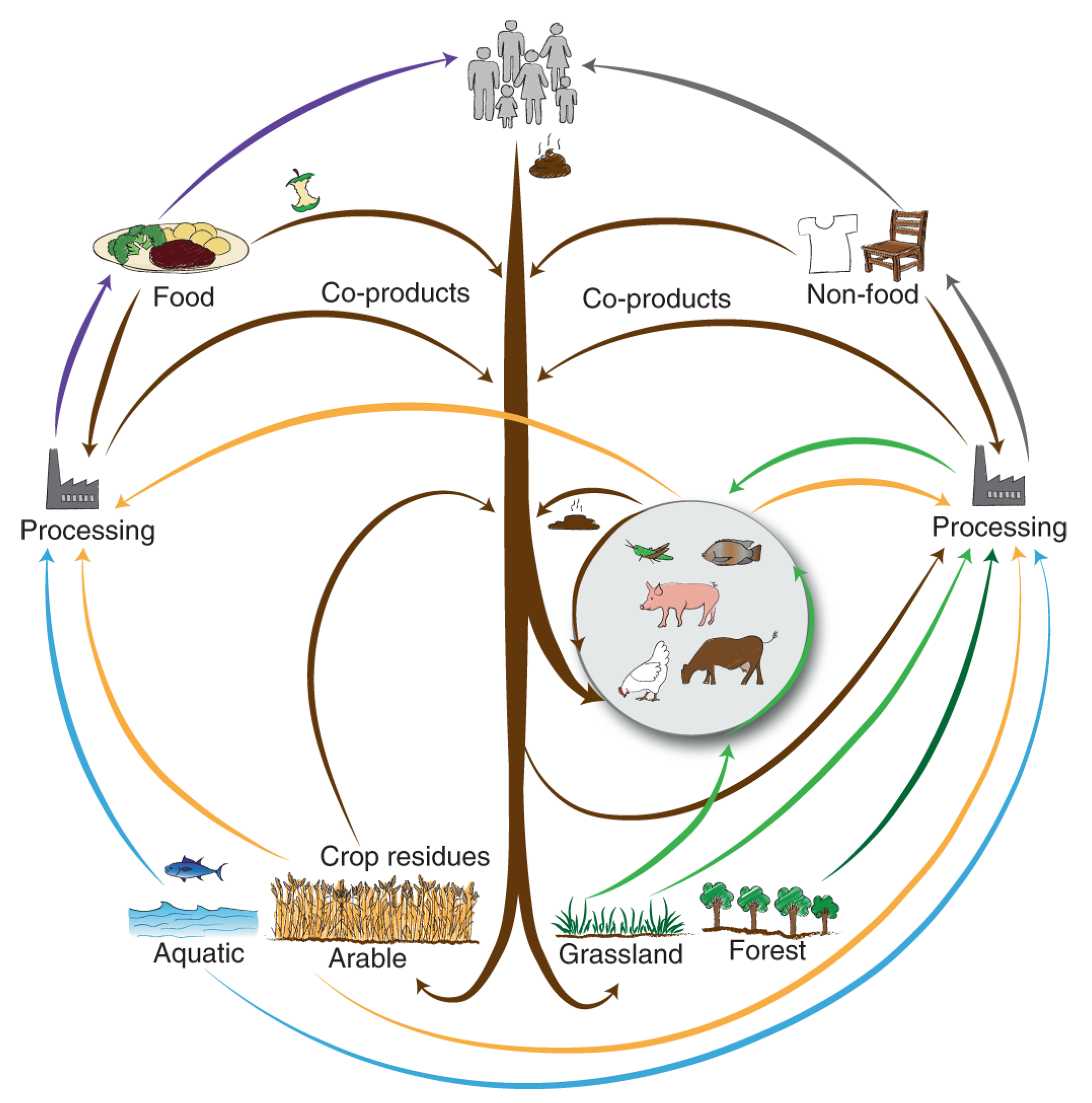 Sustainability 15 12239 g001 550