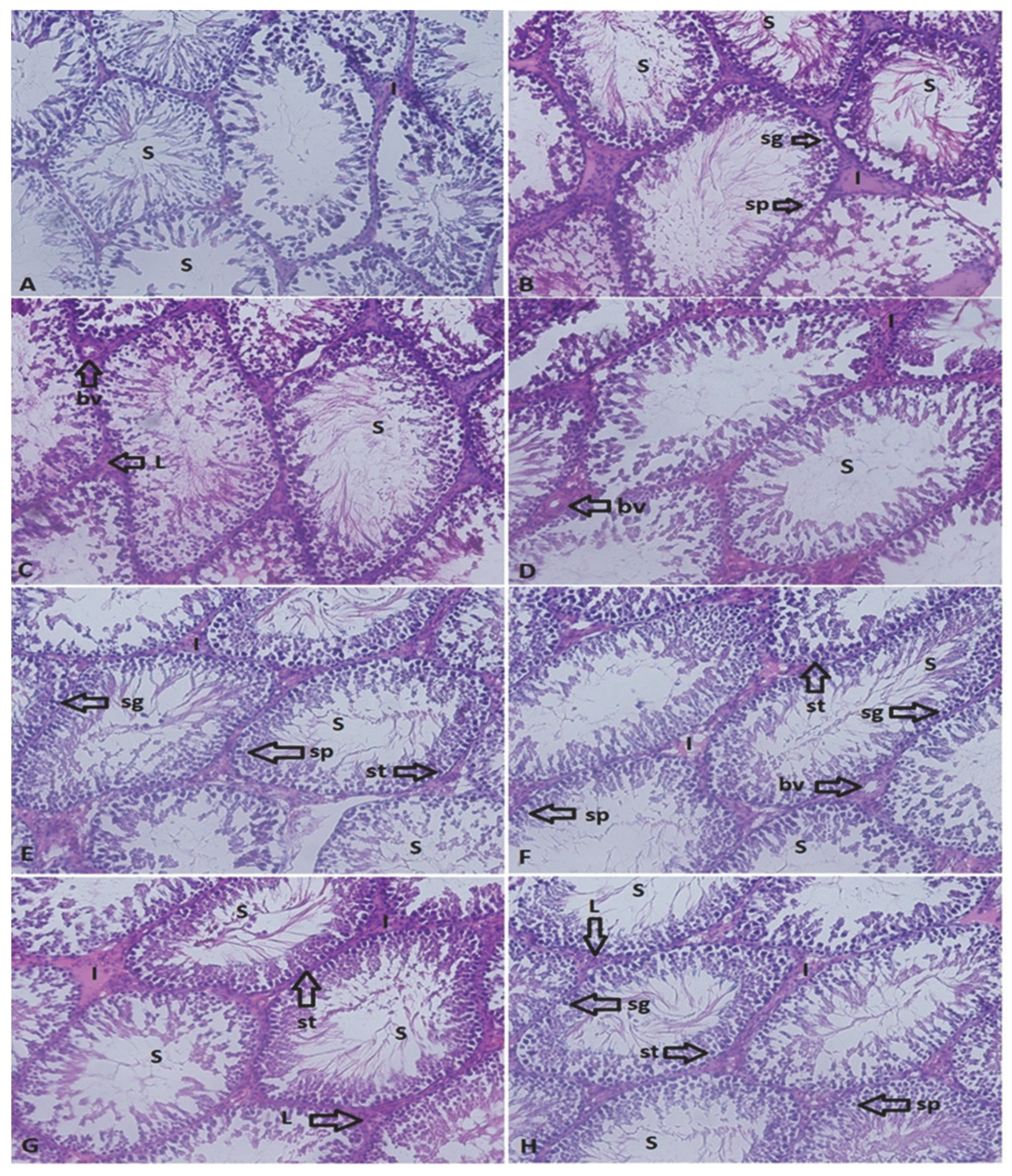 Sustainability 15 12245 g002