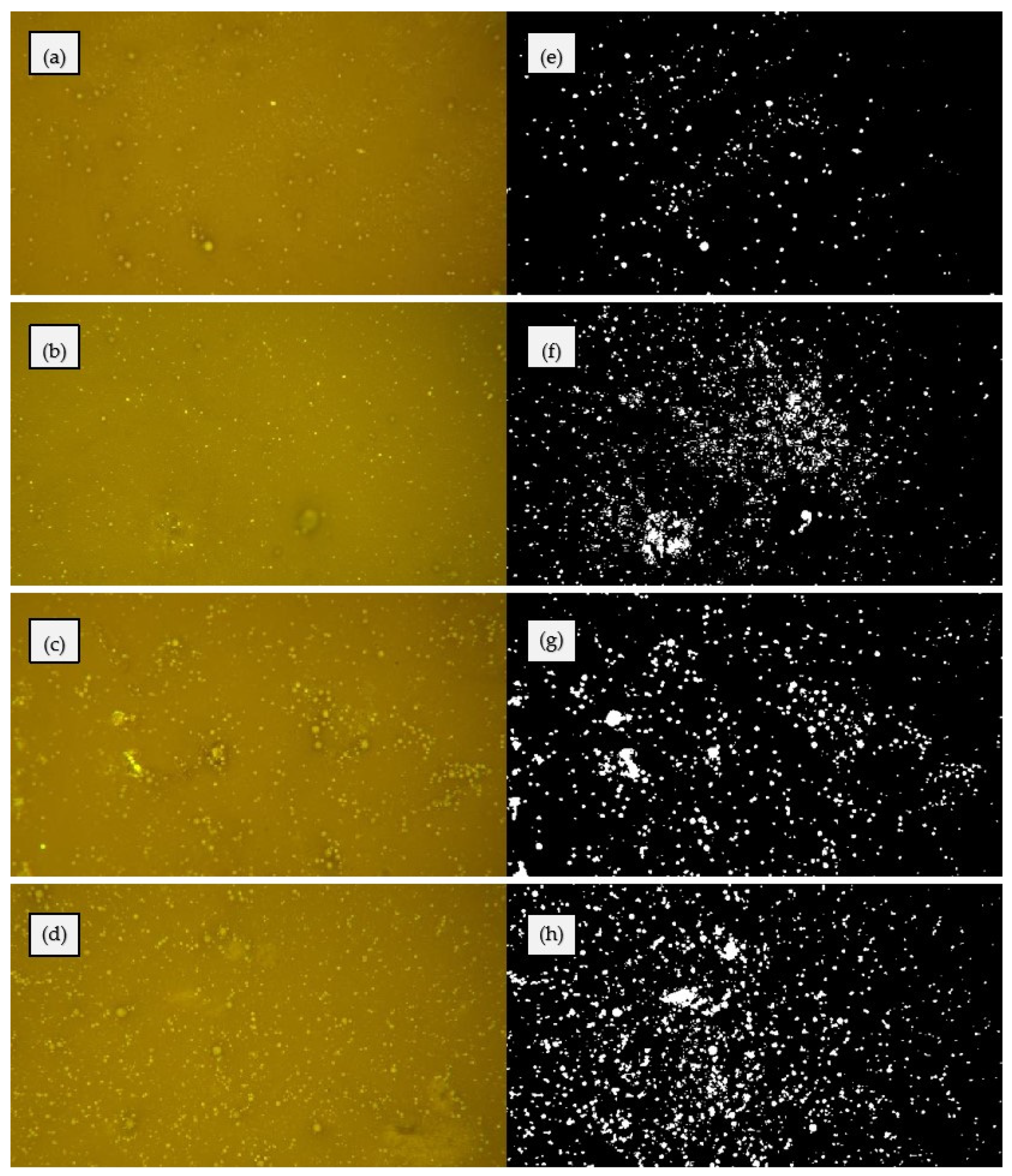 Sustainability 15 12273 g003