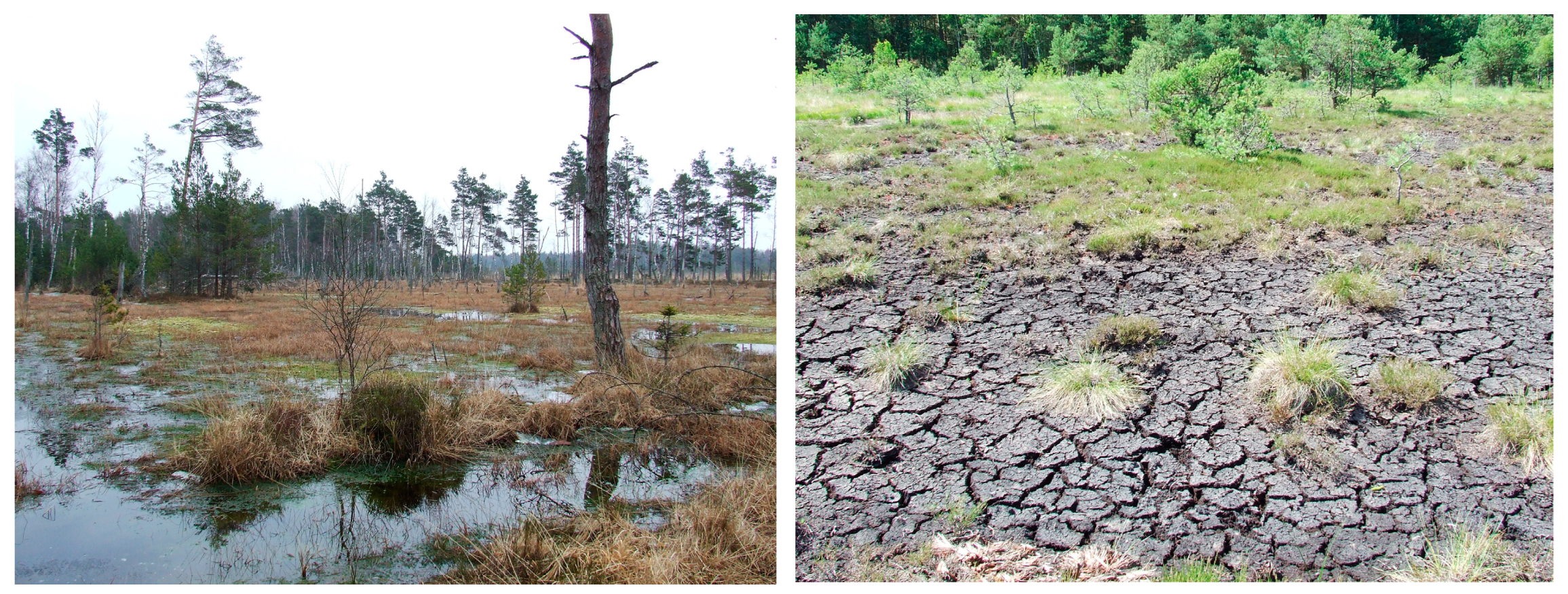 Sustainability 15 12277 g002