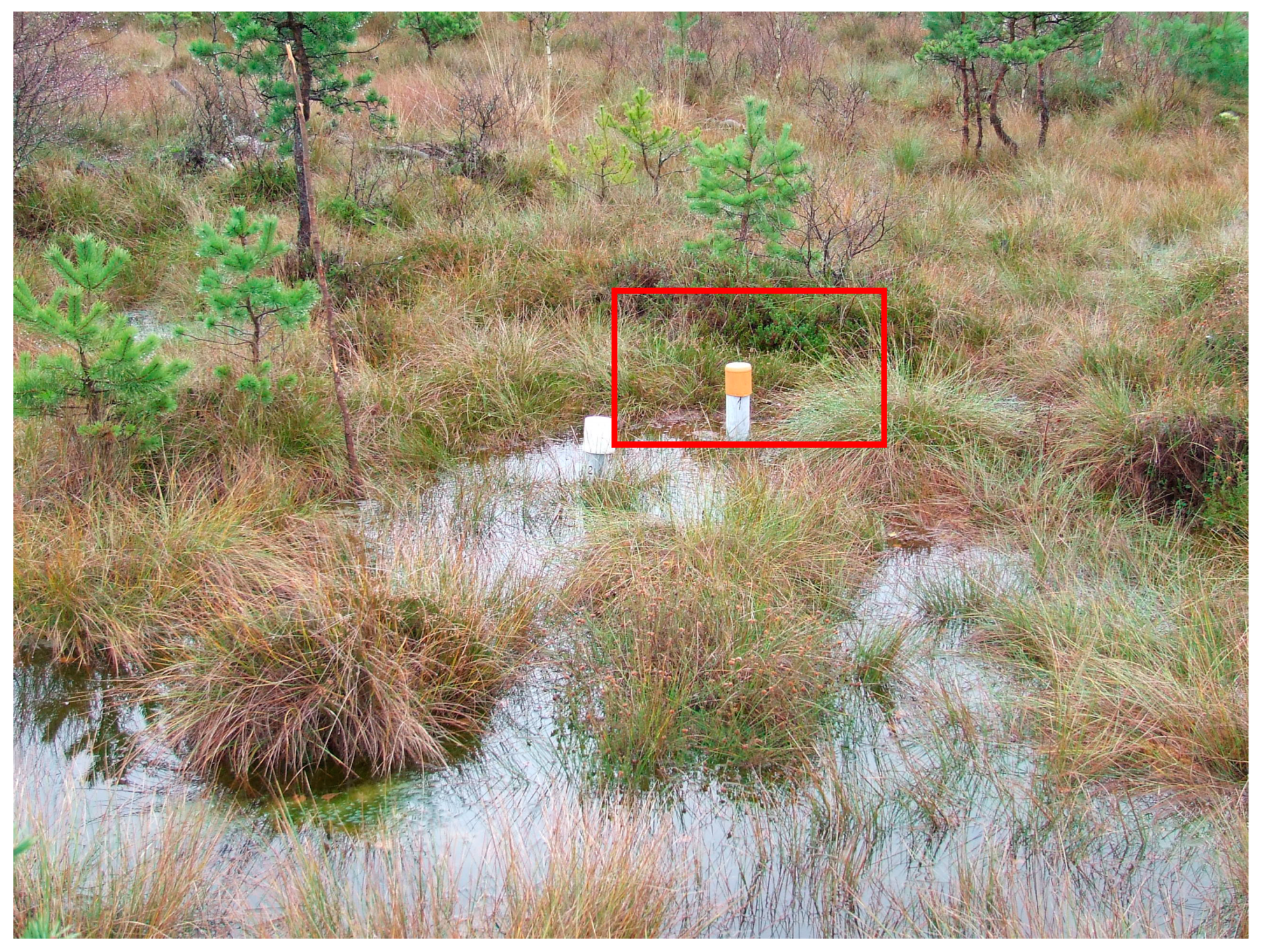 Sustainability 15 12277 g005