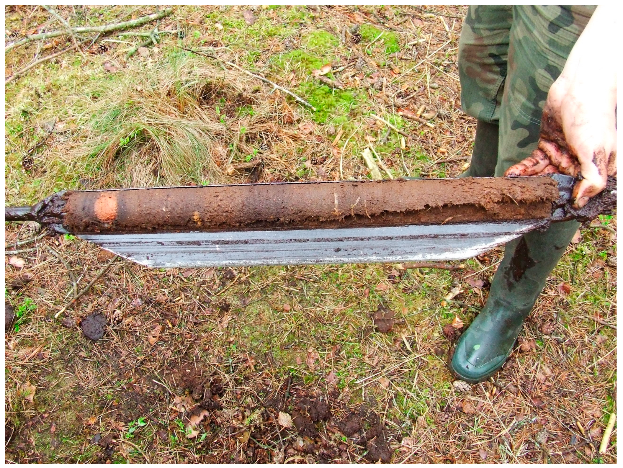 Sustainability 15 12277 g006