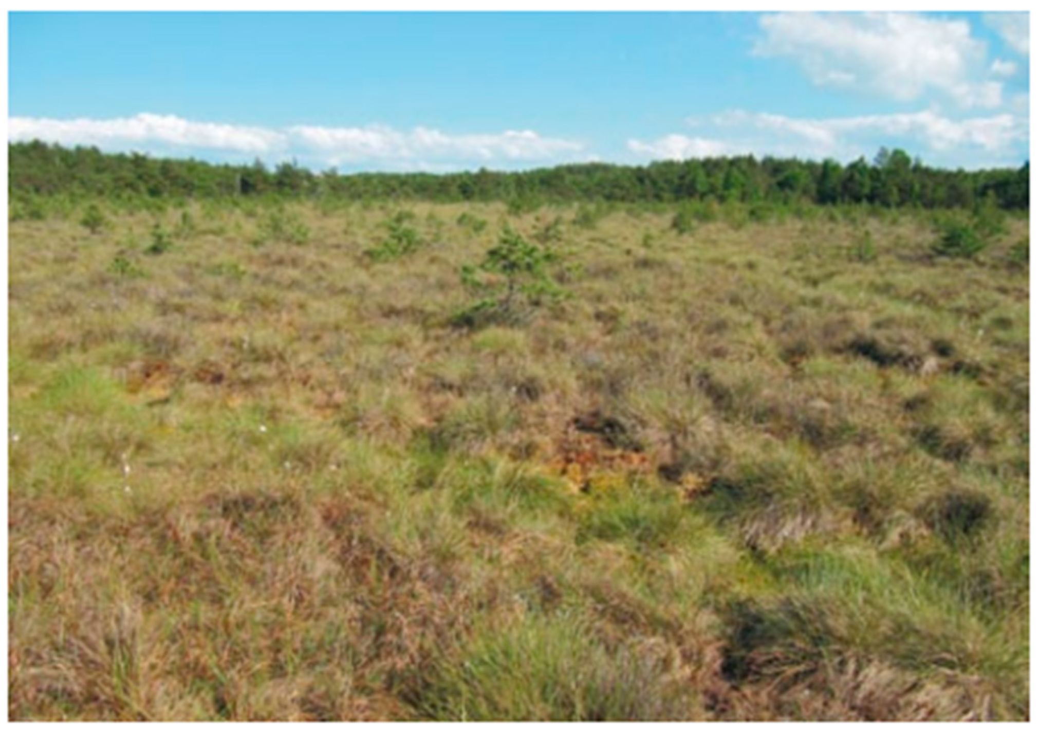 Sustainability 15 12277 g021