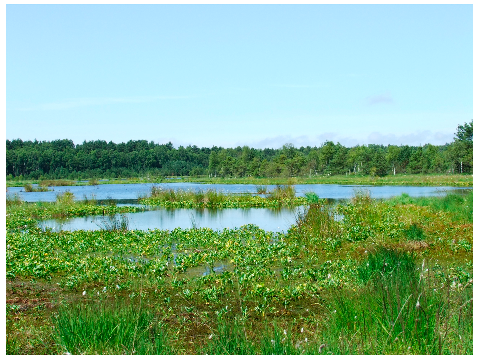 Sustainability 15 12277 g022