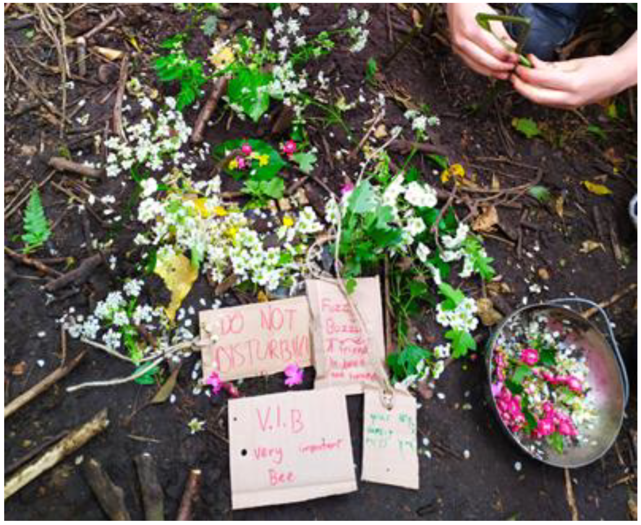 Sustainability 15 12290 g006