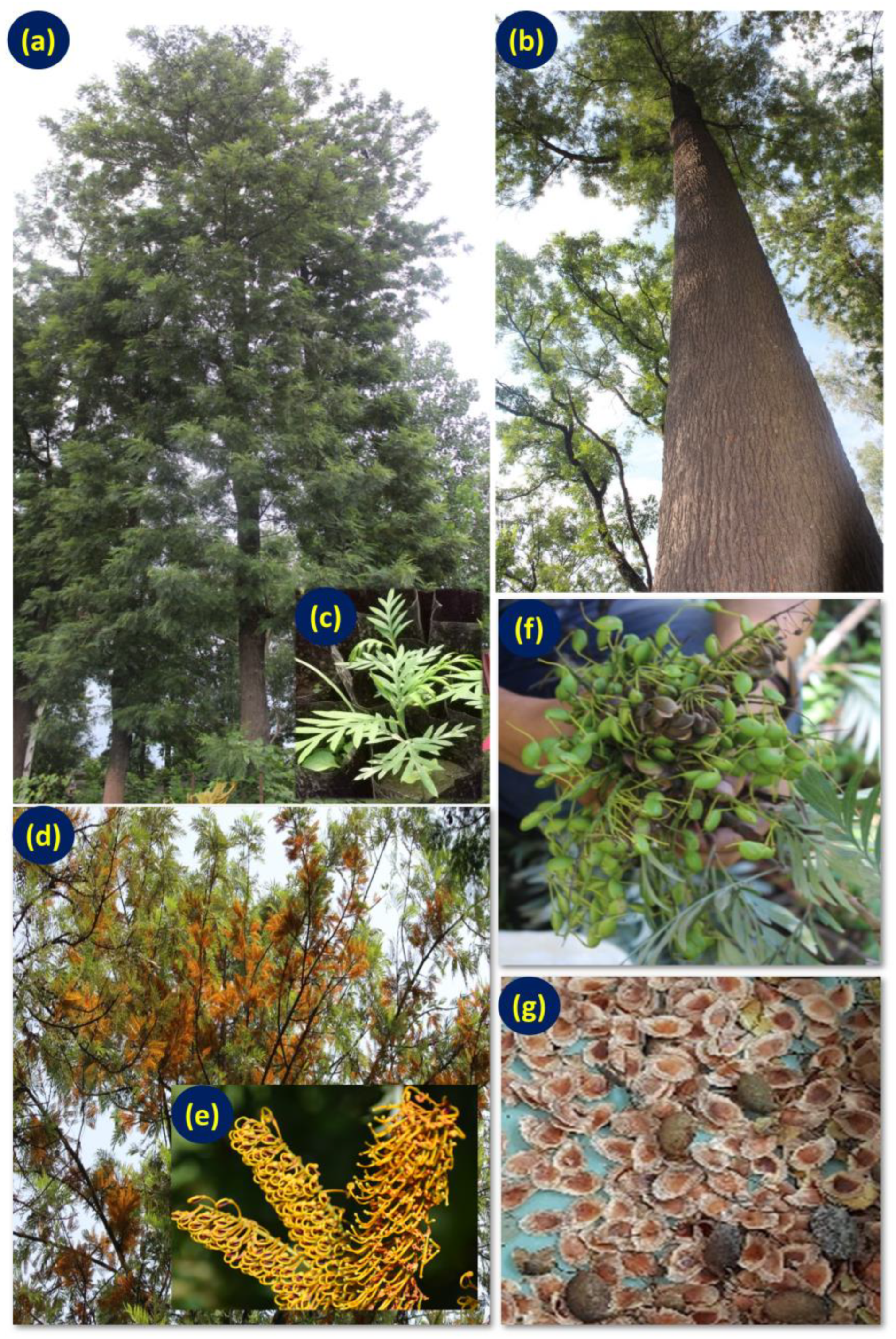 Sustainability 15 12292 g001