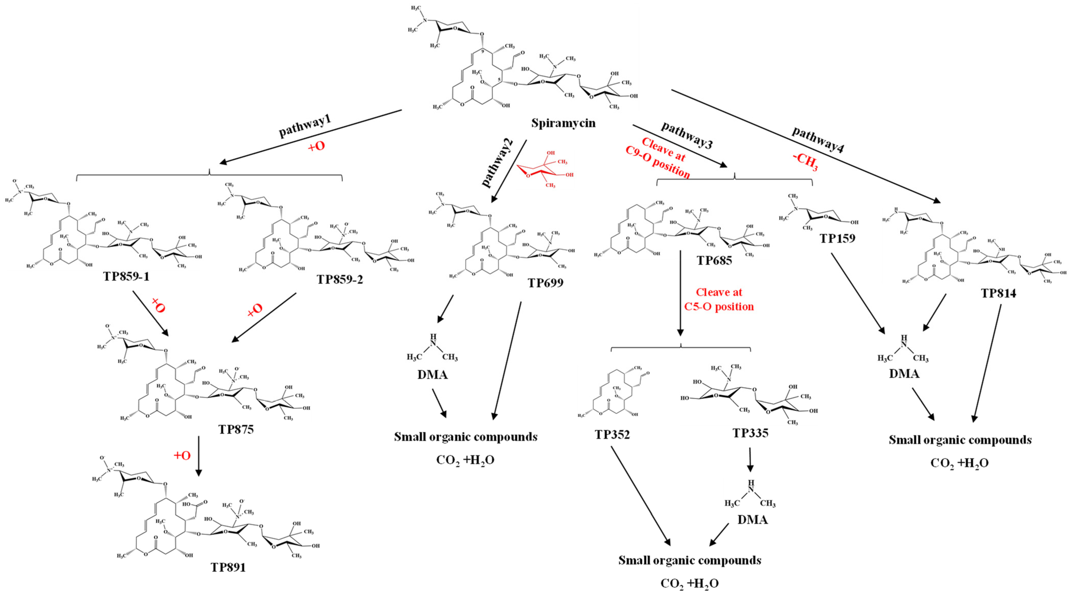 Sustainability 15 12343 g006