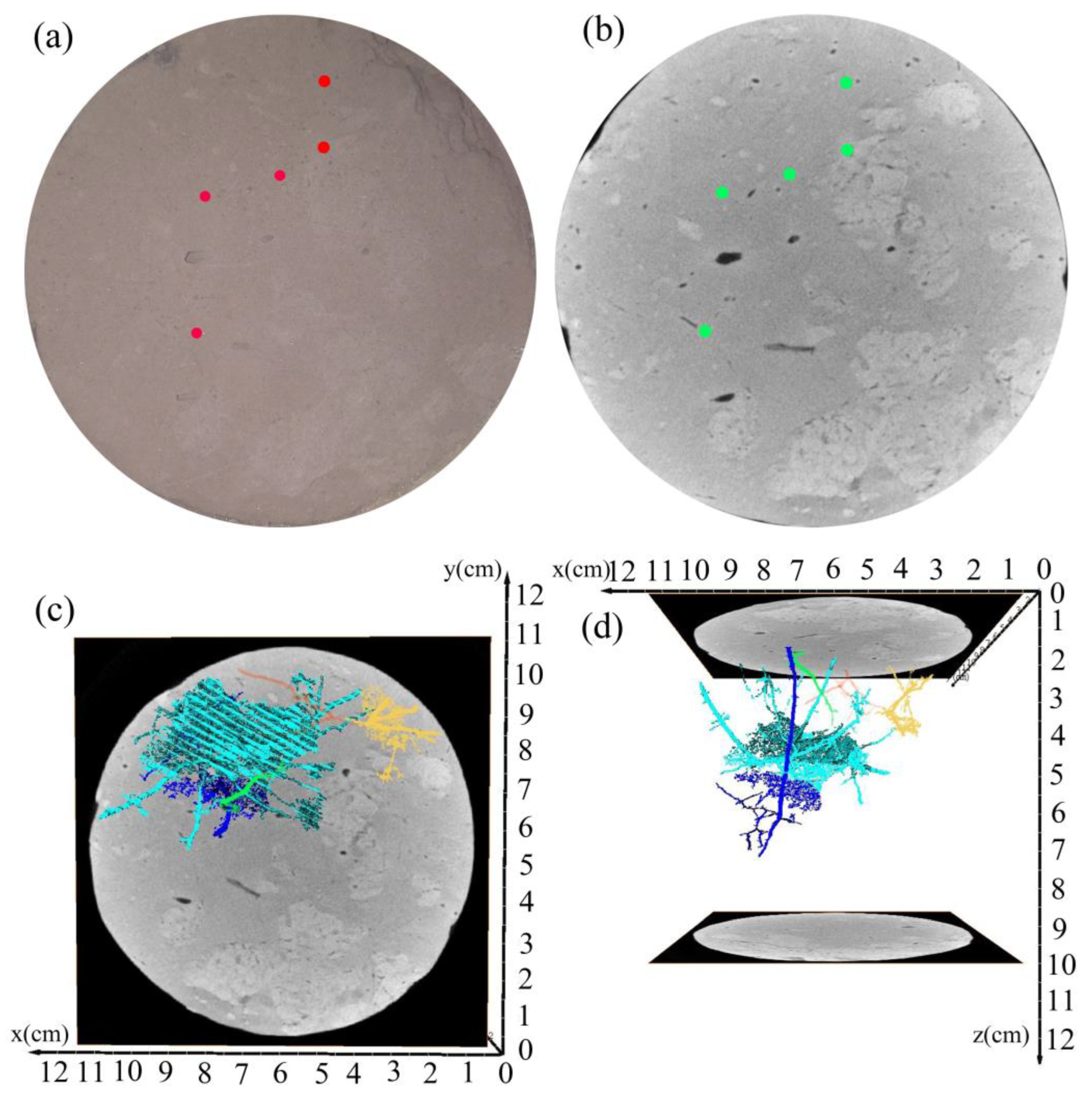 Sustainability 15 12389 g013 Sustainability 15 12389 g013