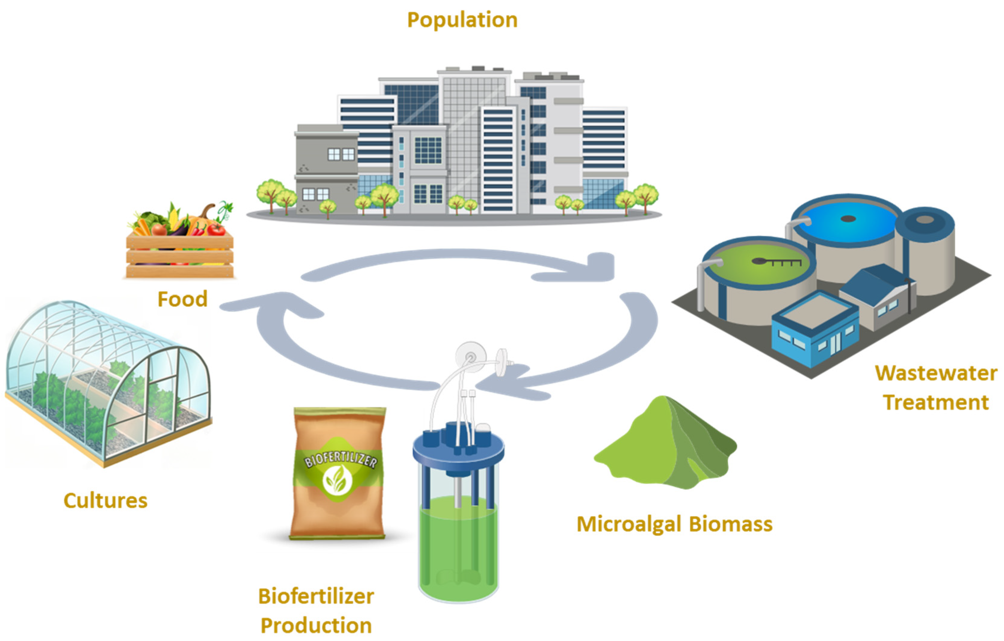 Sustainability 15 12413 g002