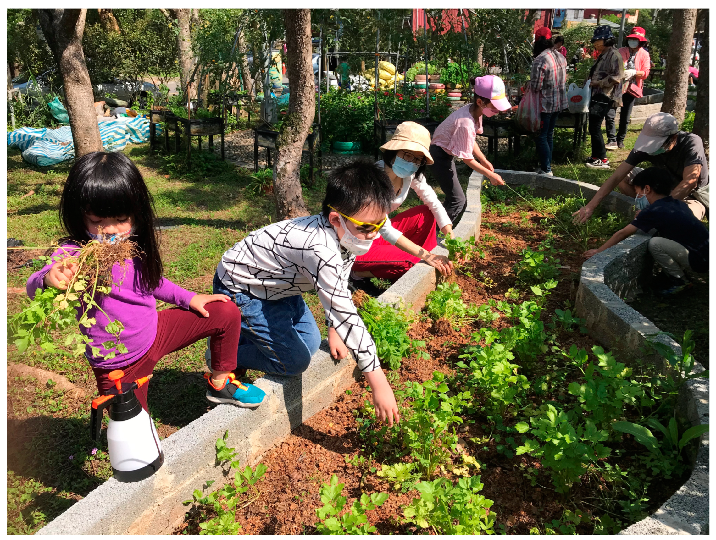 Sustainability 15 12422 g005 550