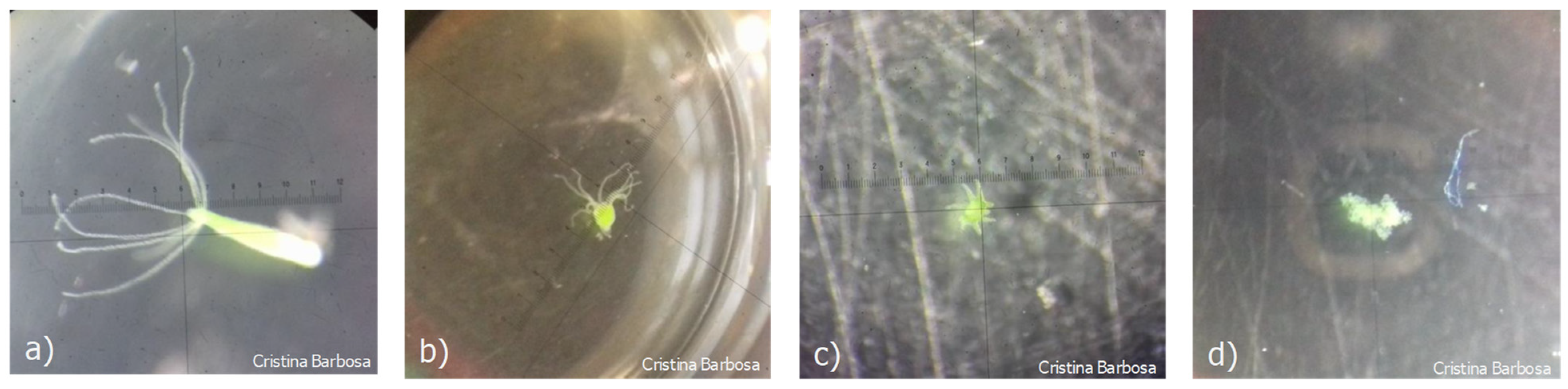 Sustainability 15 12428 g003 550