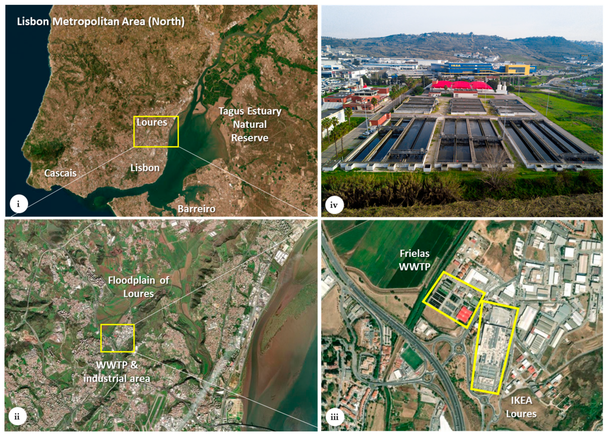 Sustainability 15 12578 g003