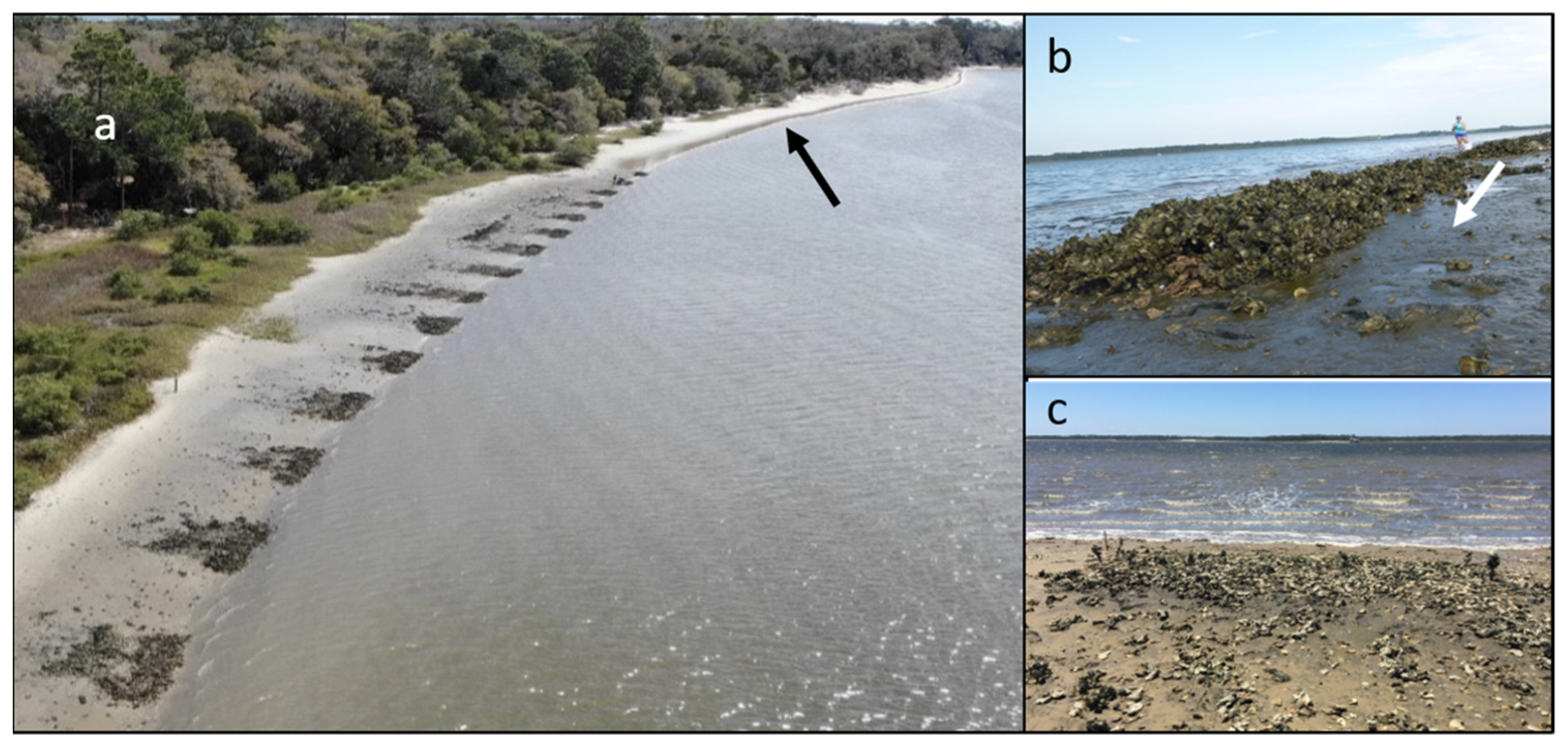 Sustainability 15 12584 g002