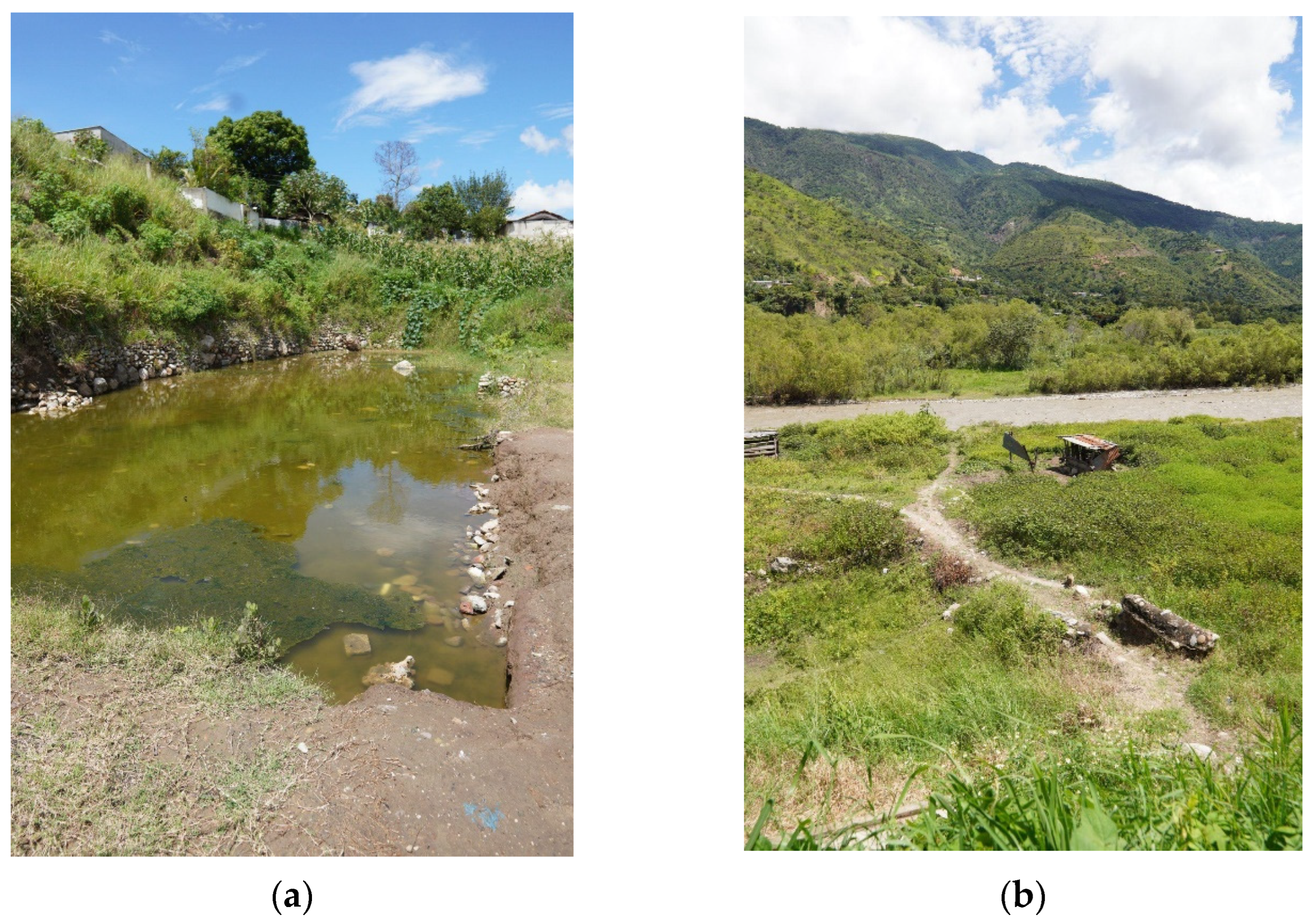 Sustainability 15 12591 g017