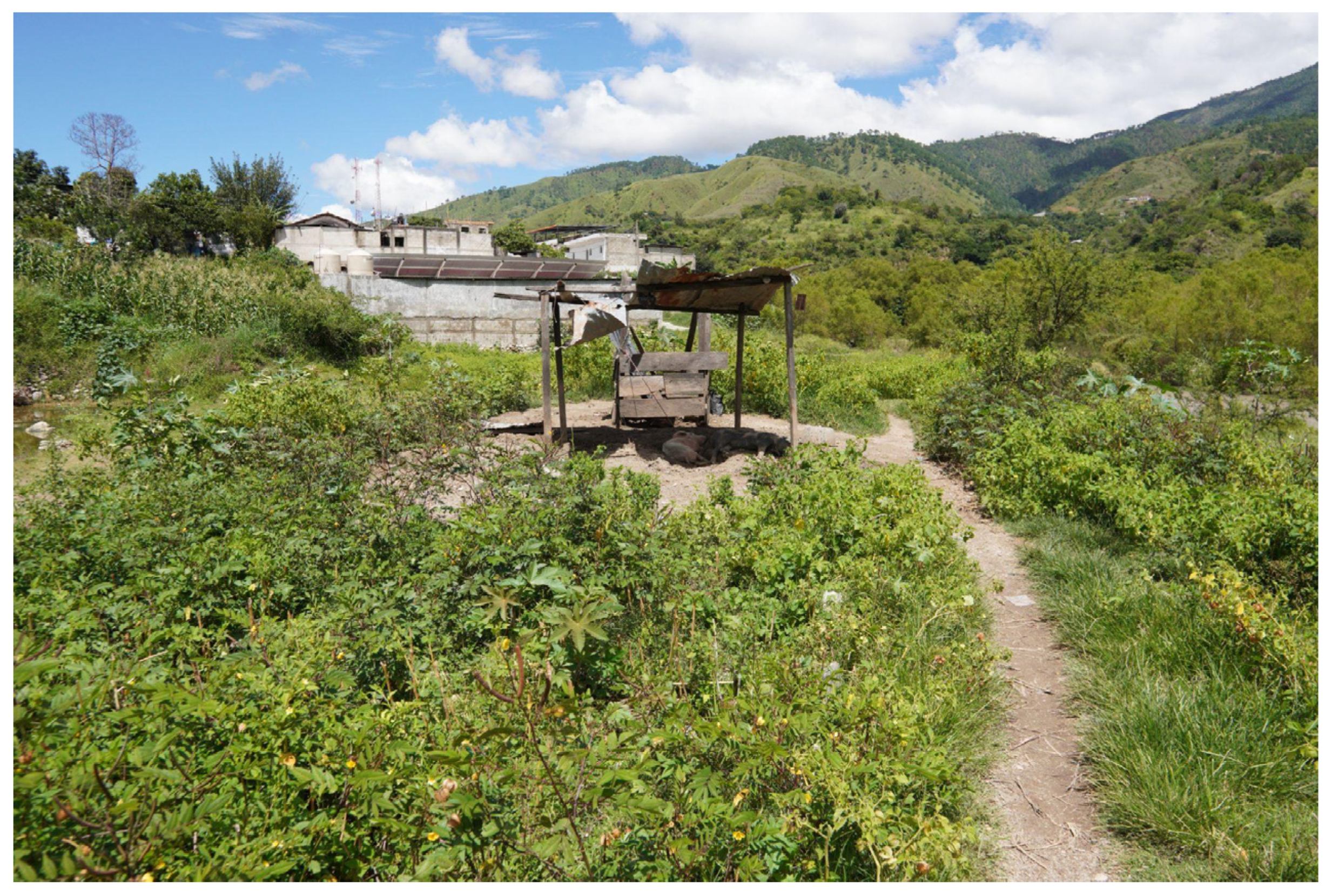 Sustainability 15 12591 g018