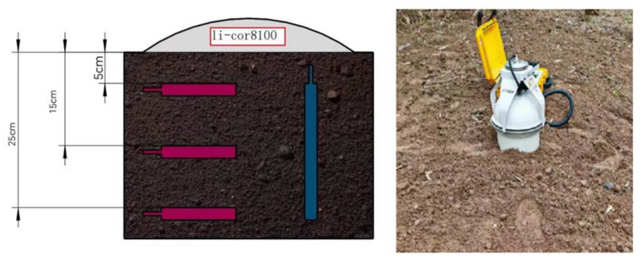 Sustainability 15 12637 g001