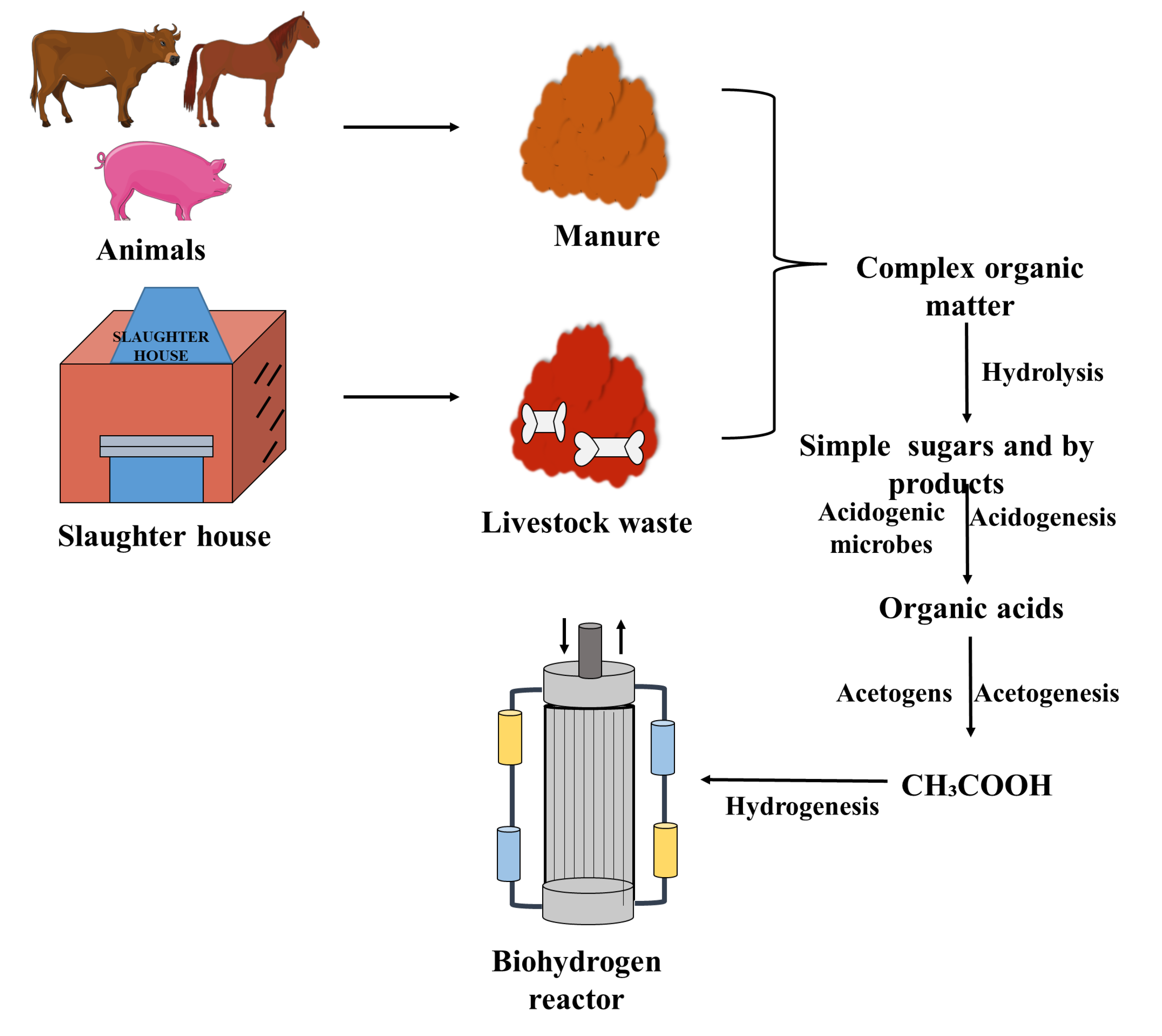 Sustainability 15 12641 g002
