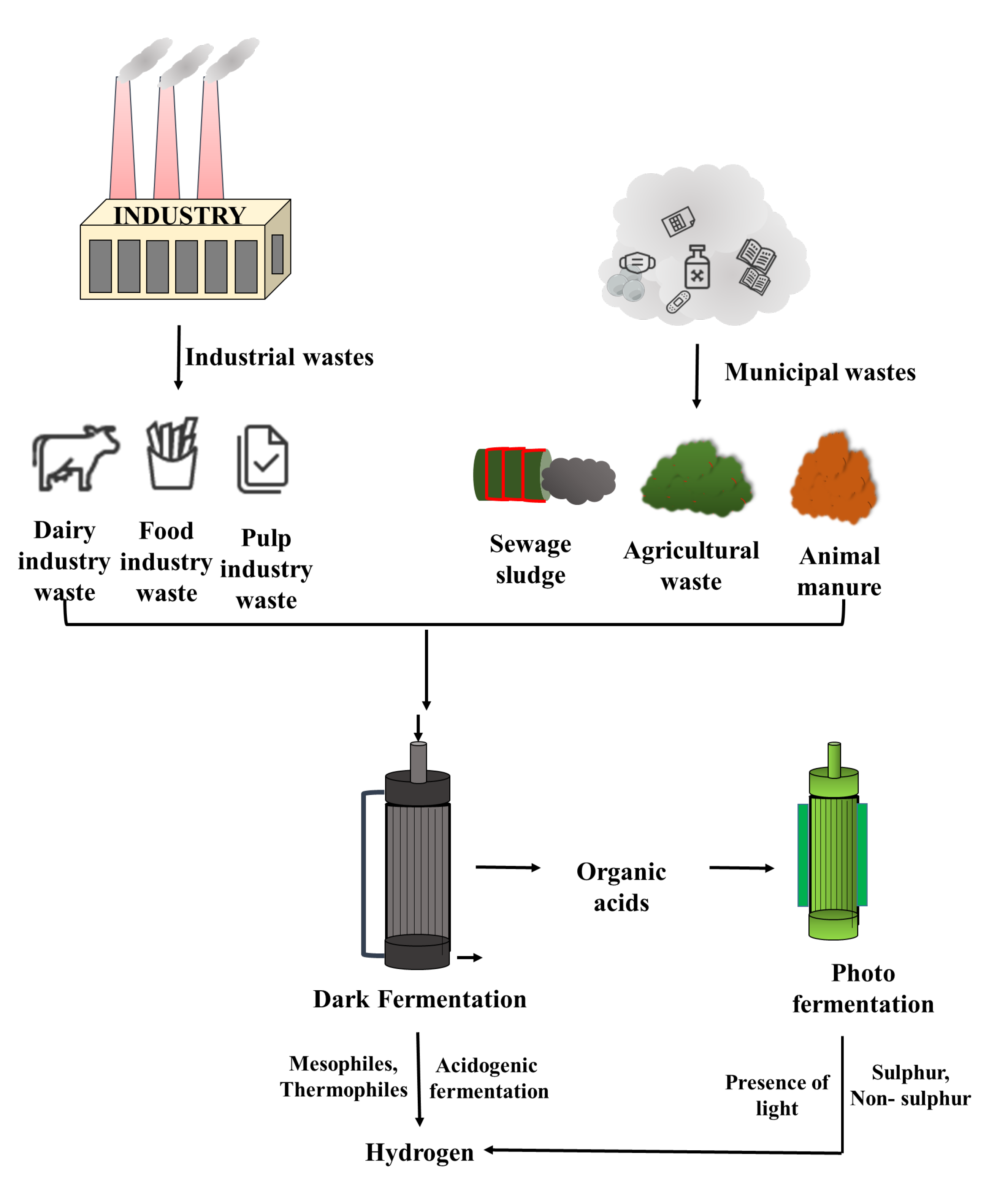 Sustainability 15 12641 g003