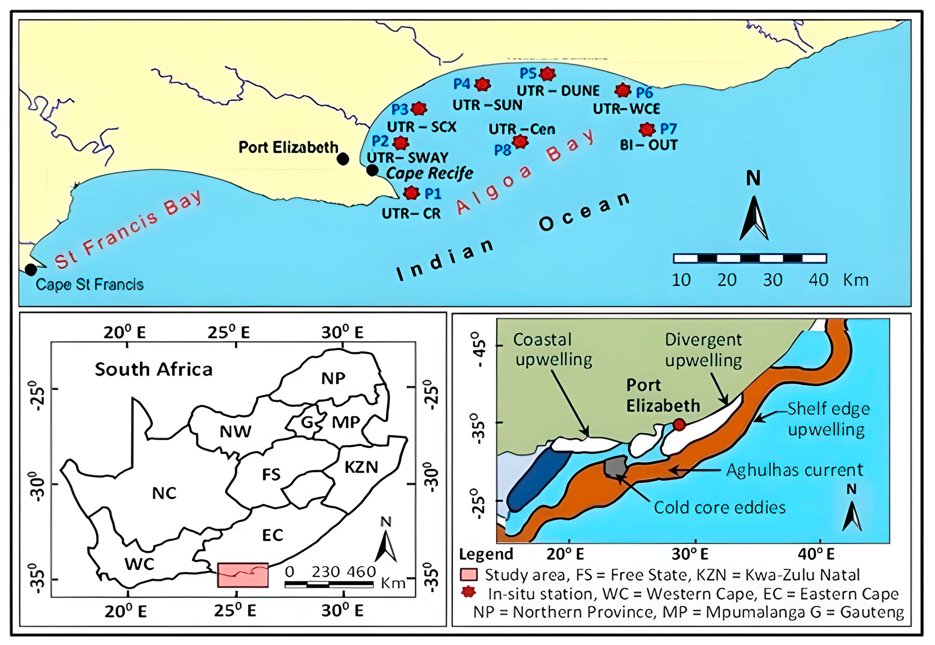 Sustainability 15 12699 g001 Sustainability 15 12699 g001
