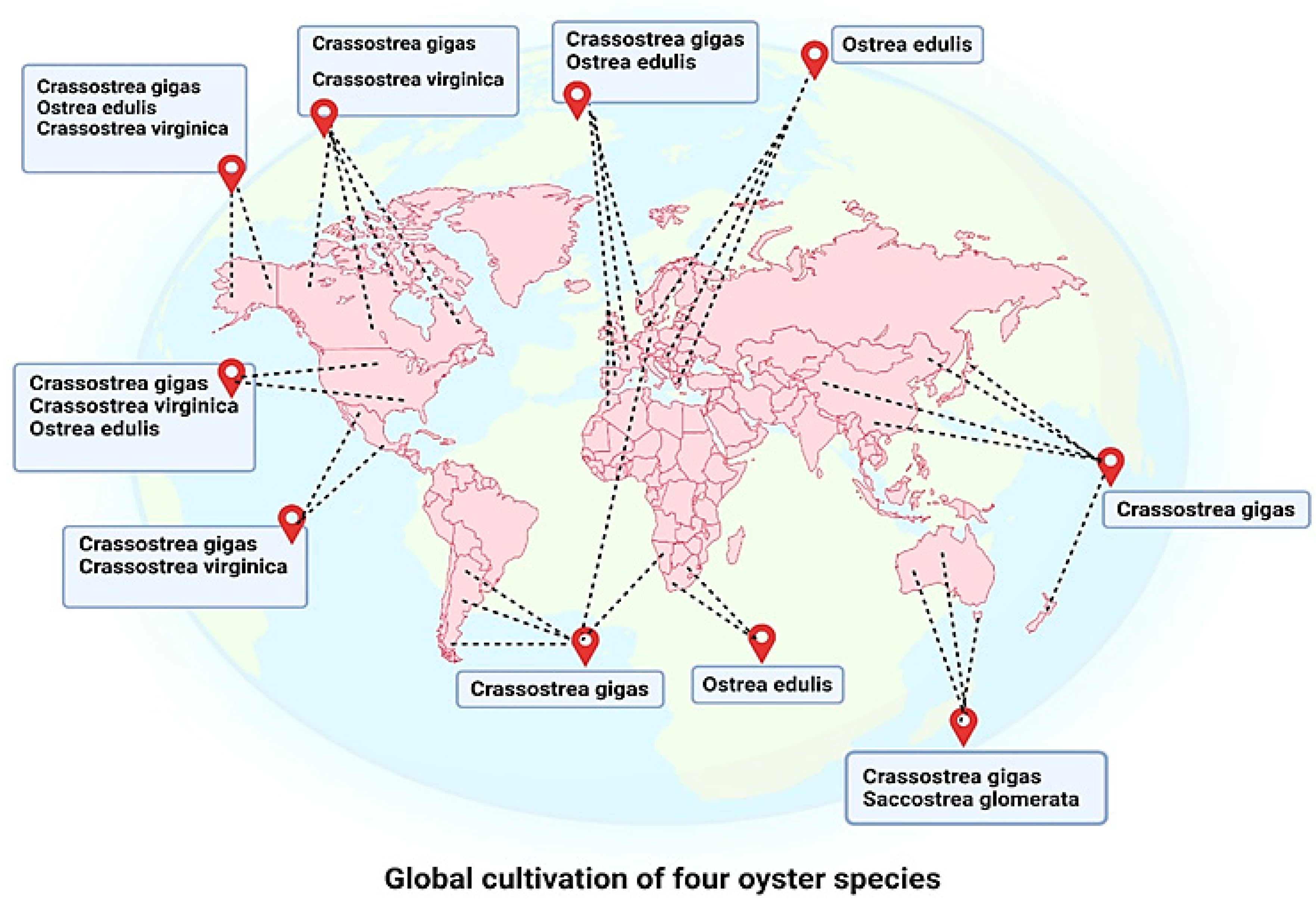 Sustainability 15 12775 g001 Sustainability 15 12775 g001