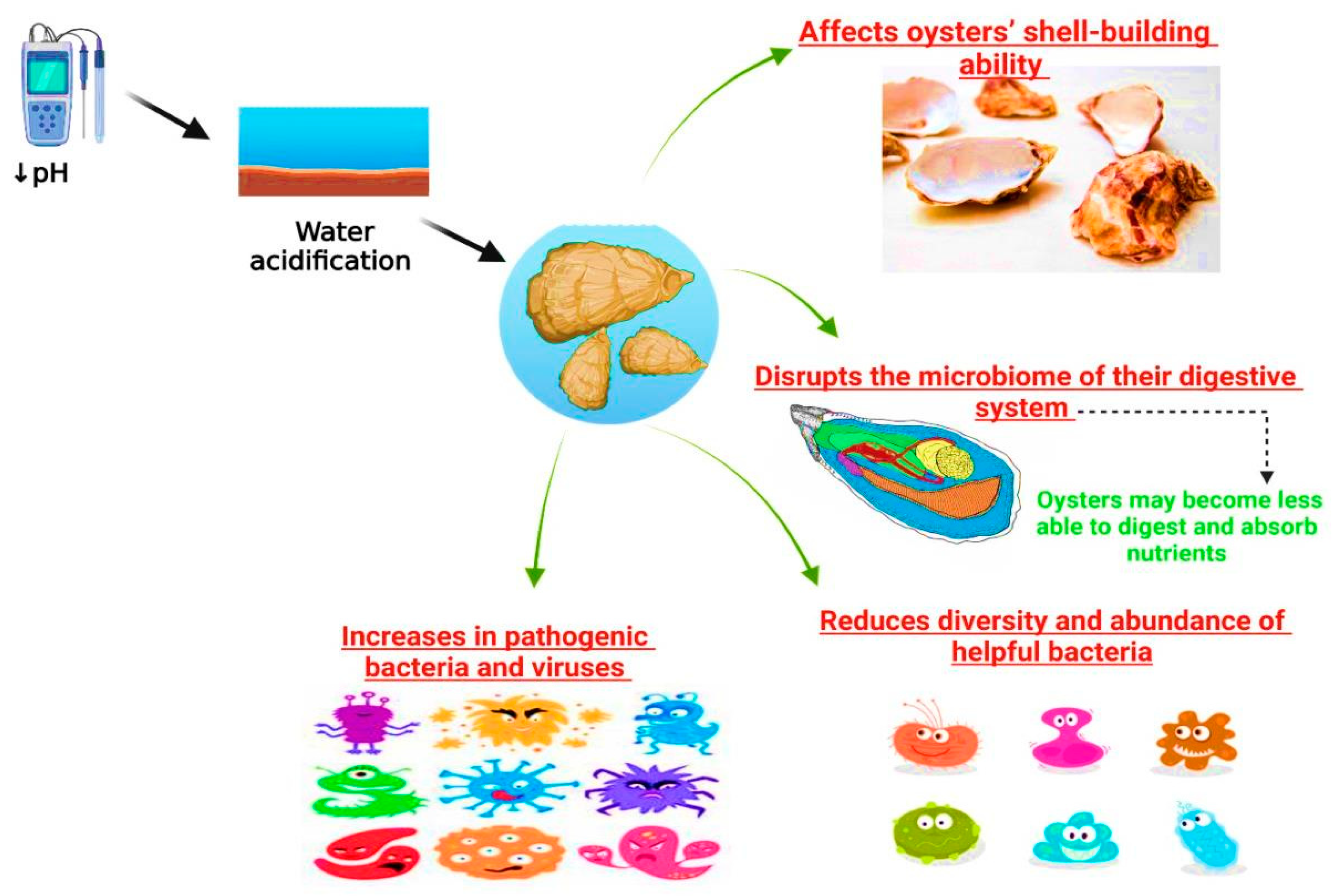 Sustainability 15 12775 g002 Sustainability 15 12775 g002