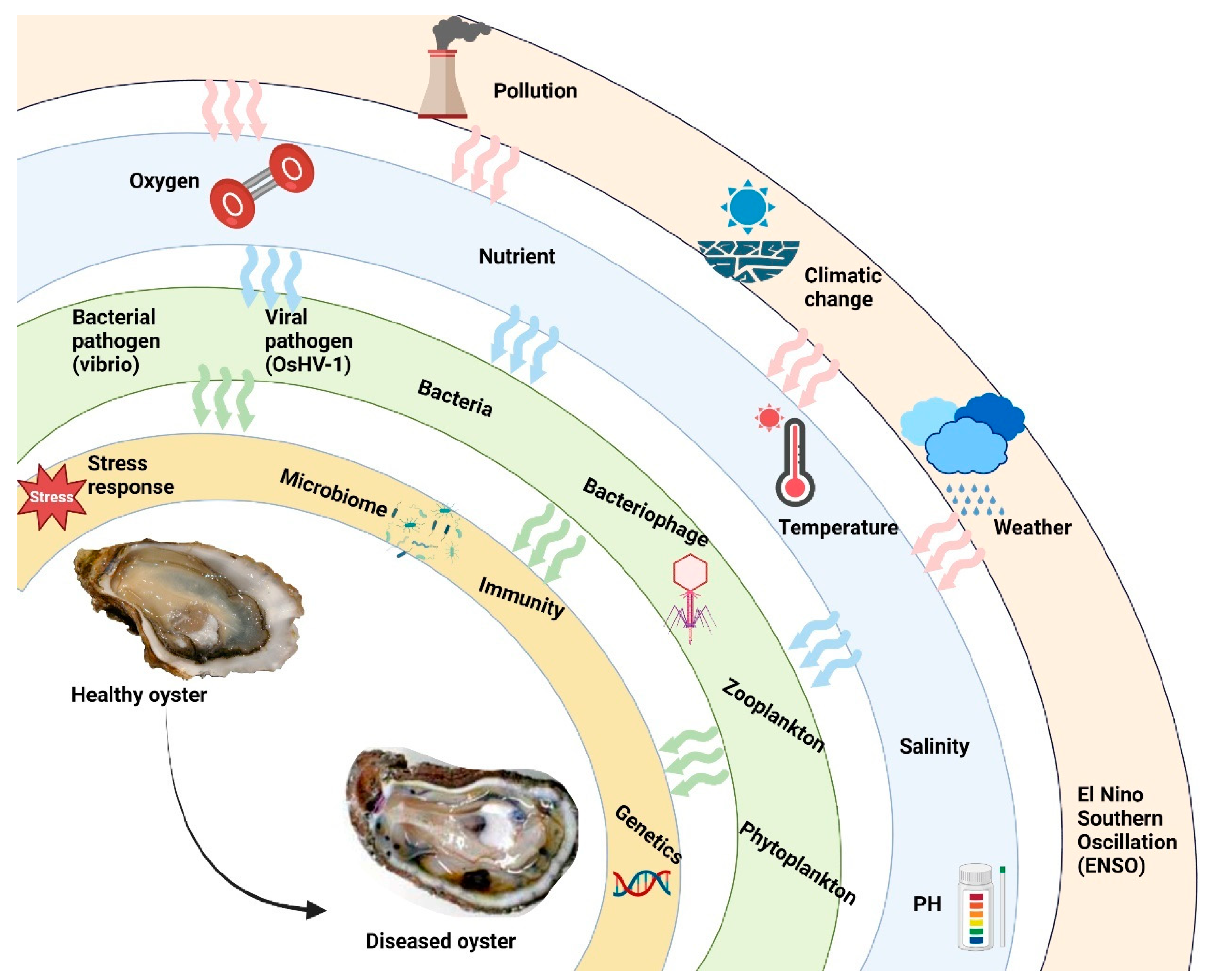 Sustainability 15 12775 g003 Sustainability 15 12775 g003