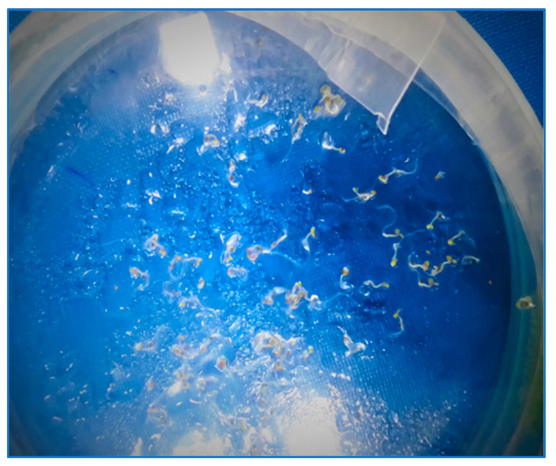 Sustainability 15 12783 g001