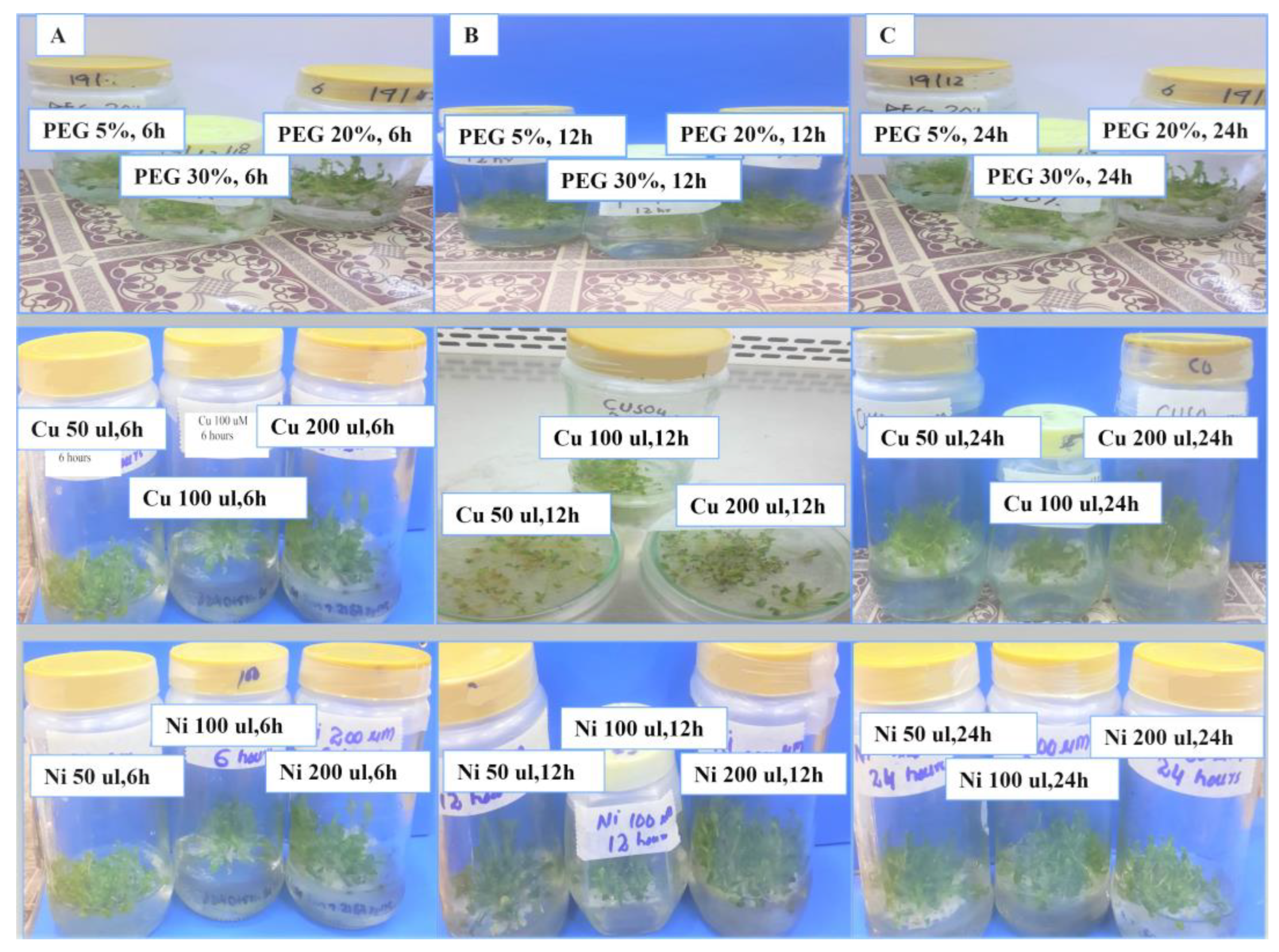 Sustainability 15 12783 g004