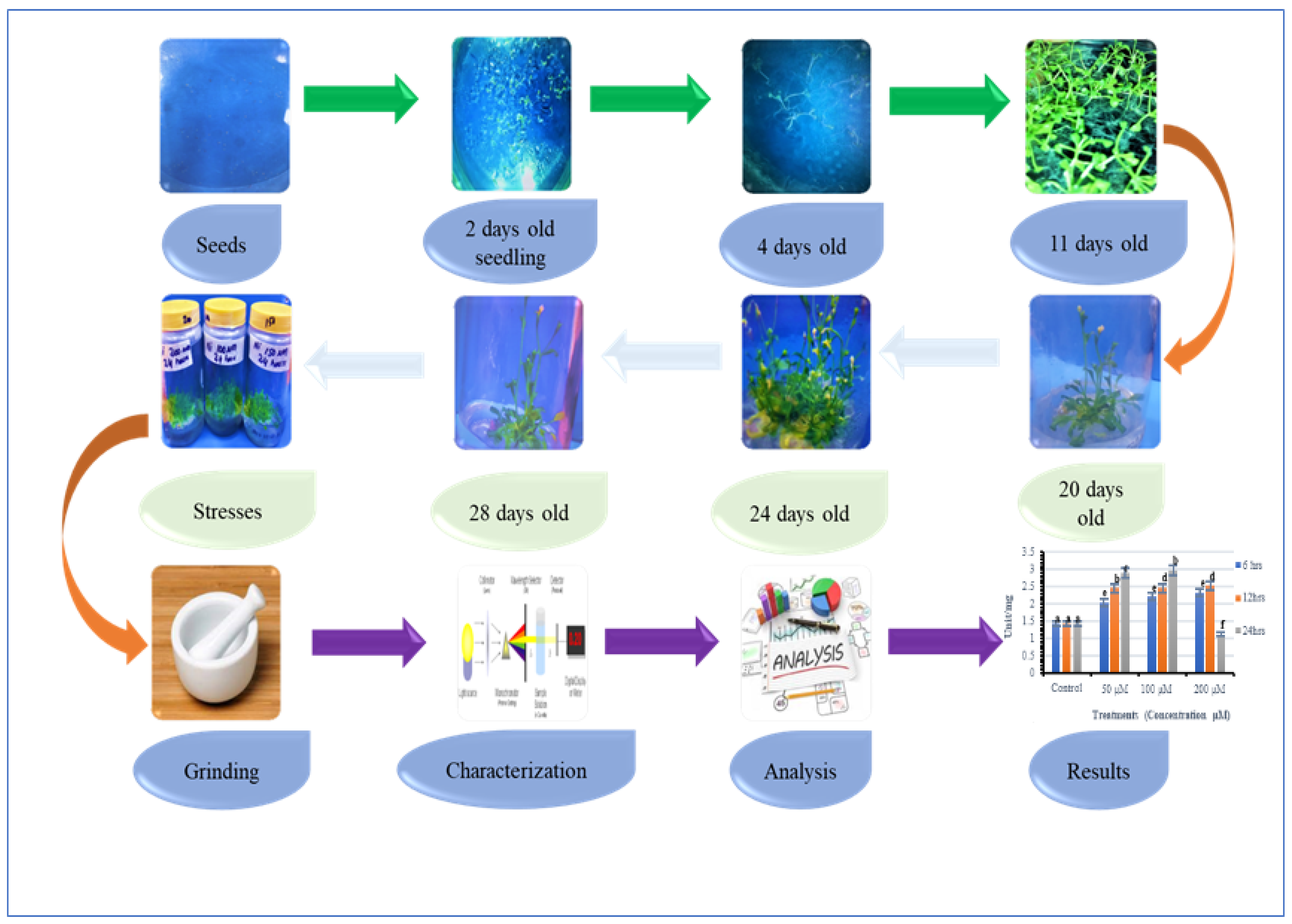 Sustainability 15 12783 g005