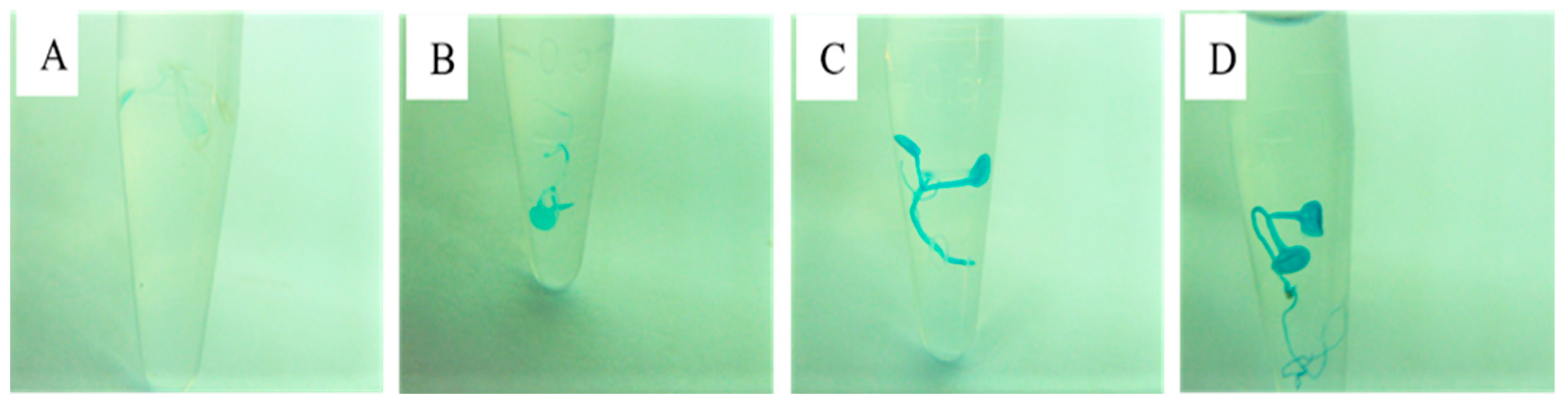 Sustainability 15 12783 g007