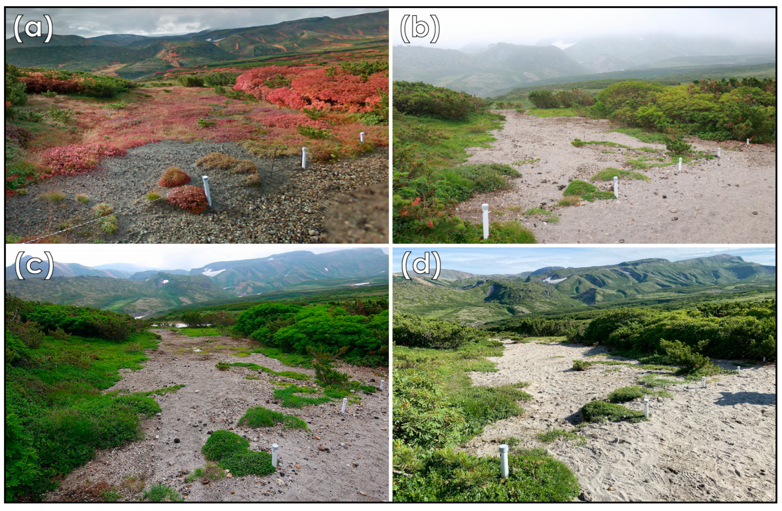 Sustainability 15 12794 g003 Sustainability 15 12794 g003