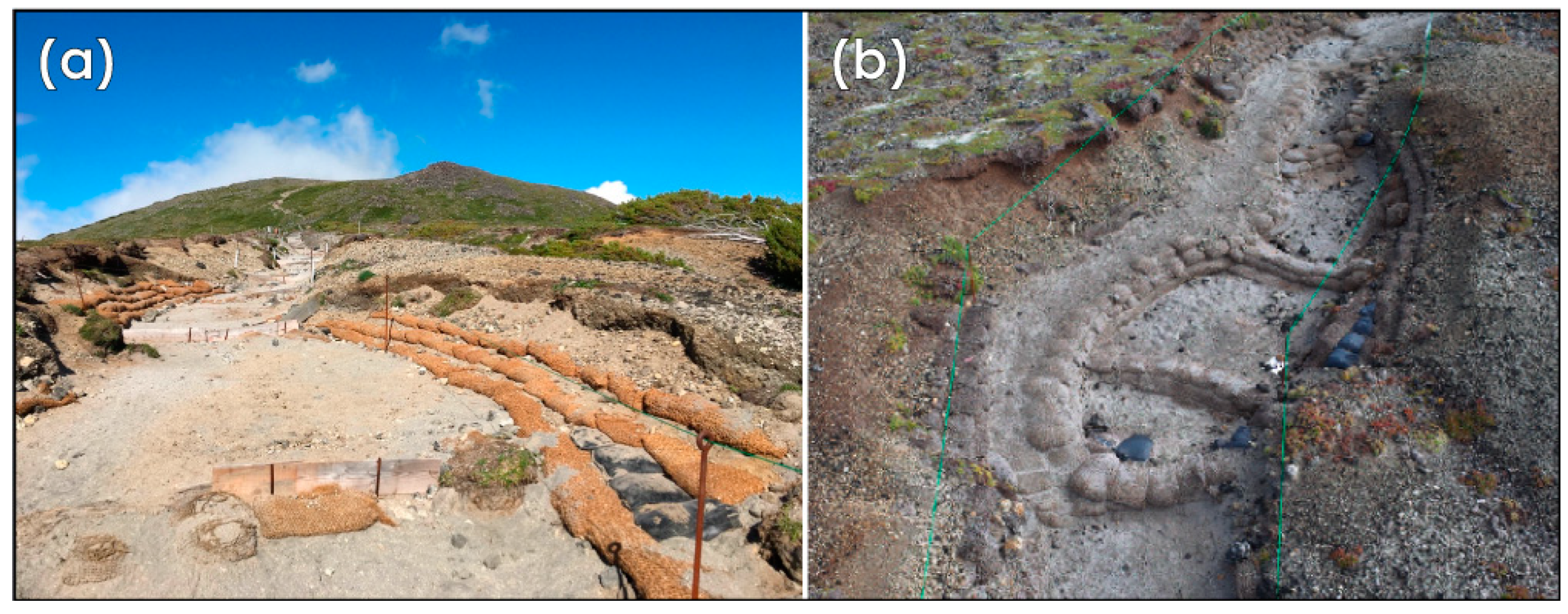 Sustainability 15 12794 g005 Sustainability 15 12794 g005