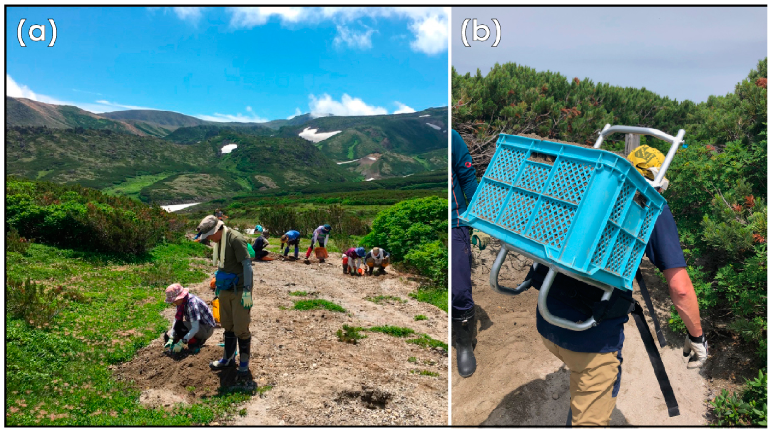 Sustainability 15 12794 g006 Sustainability 15 12794 g006