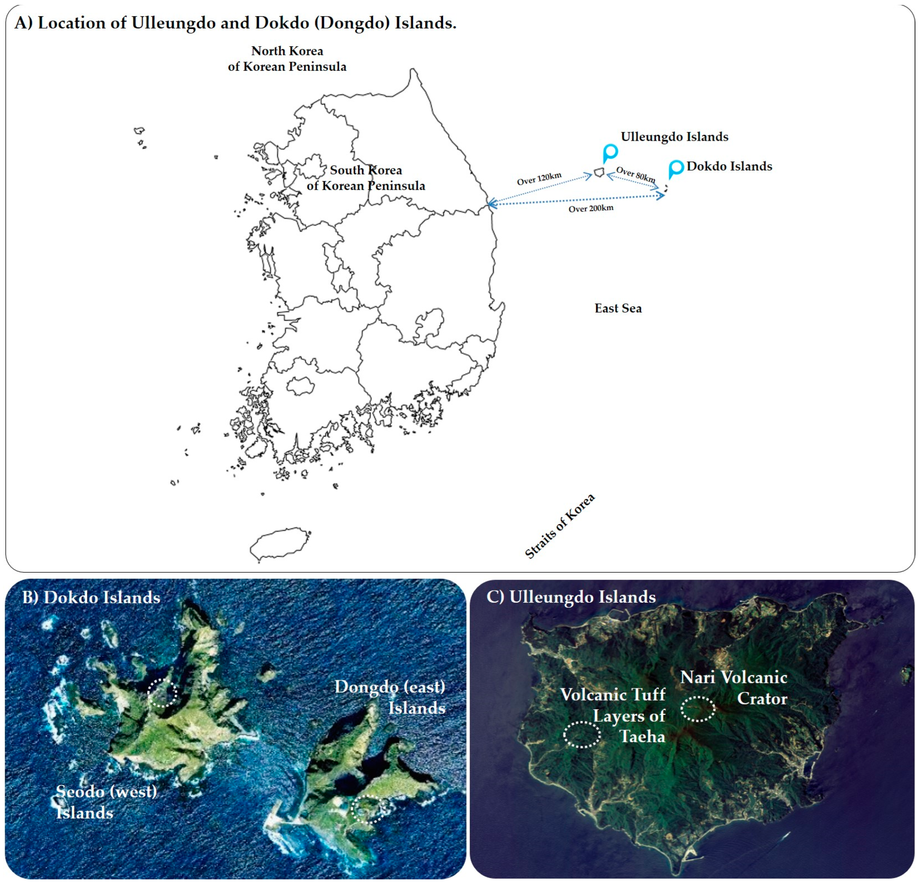 Sustainability 15 12824 g001 Sustainability 15 12824 g001