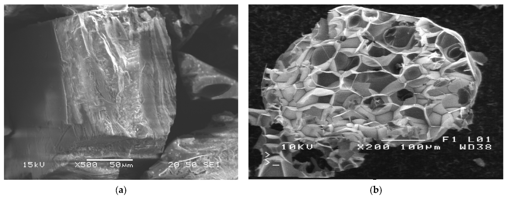 Sustainability 15 12863 g001